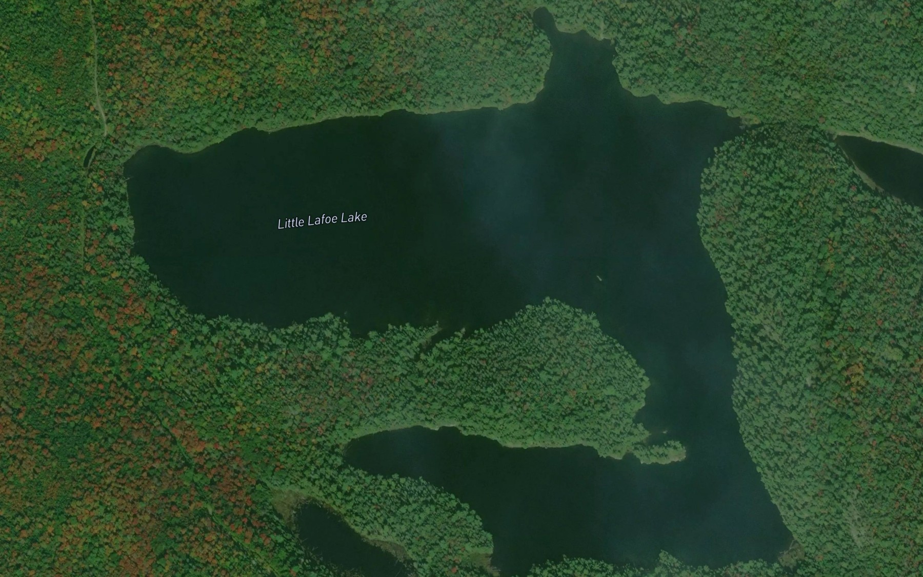 Satellite map of the Little Lafoe Lake