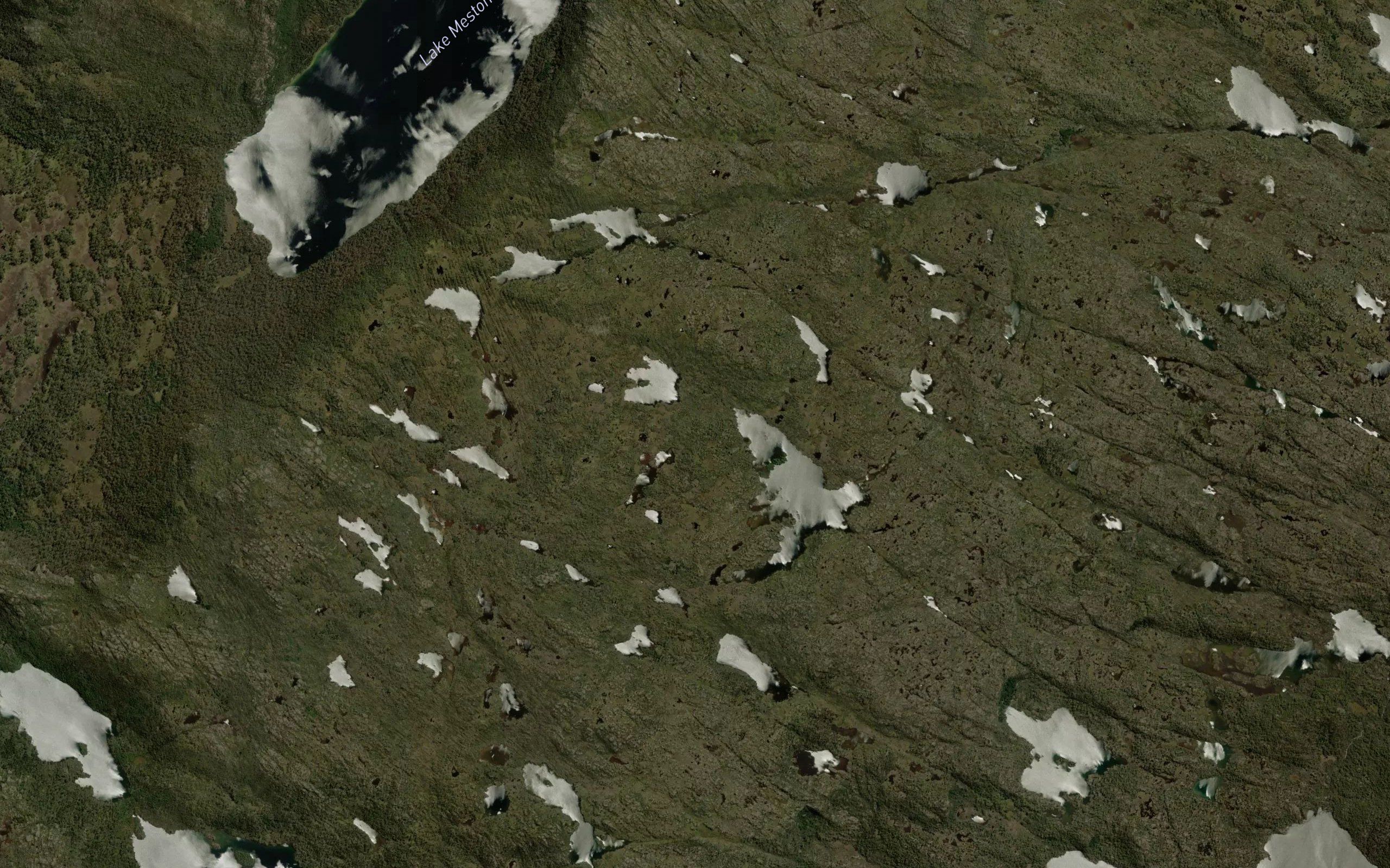 Triangle Lake