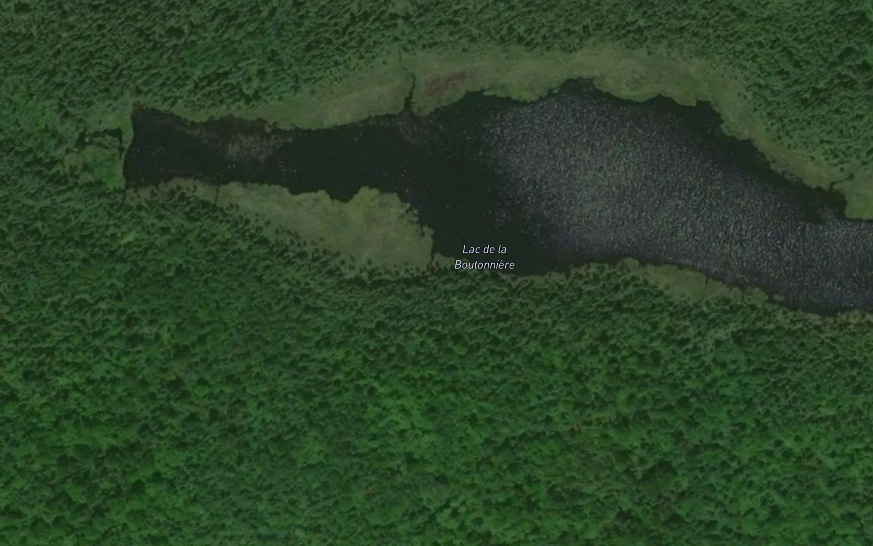Satellite map of the Lac de la Boutonniere