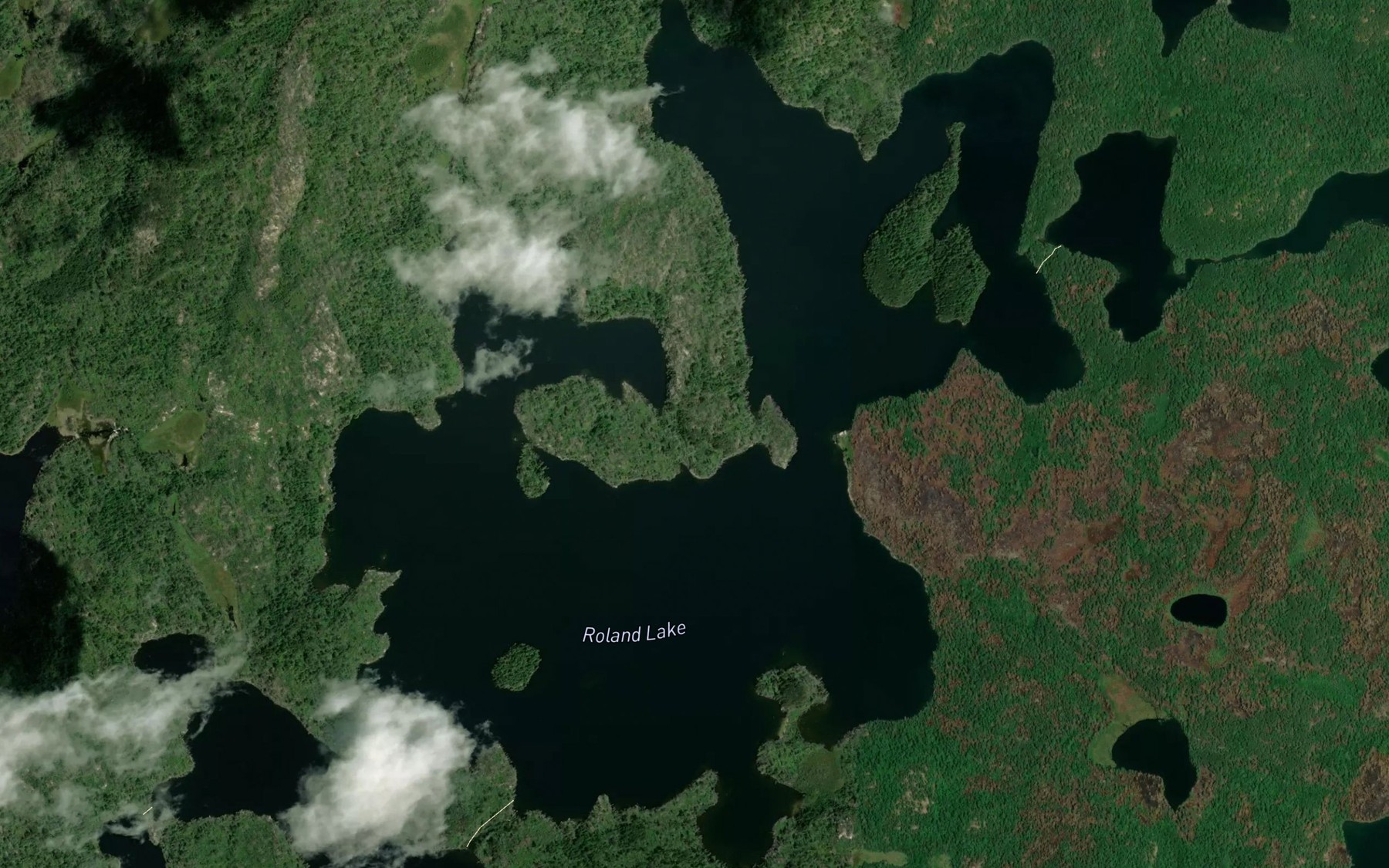 Satellite map of the Roland Lake