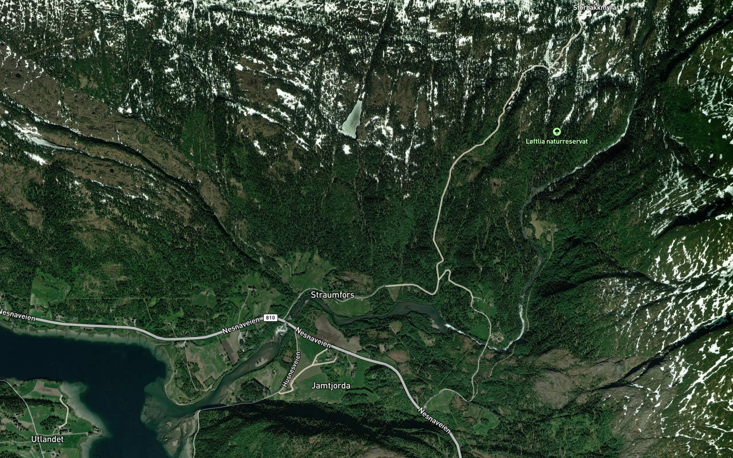 Hoglibekken