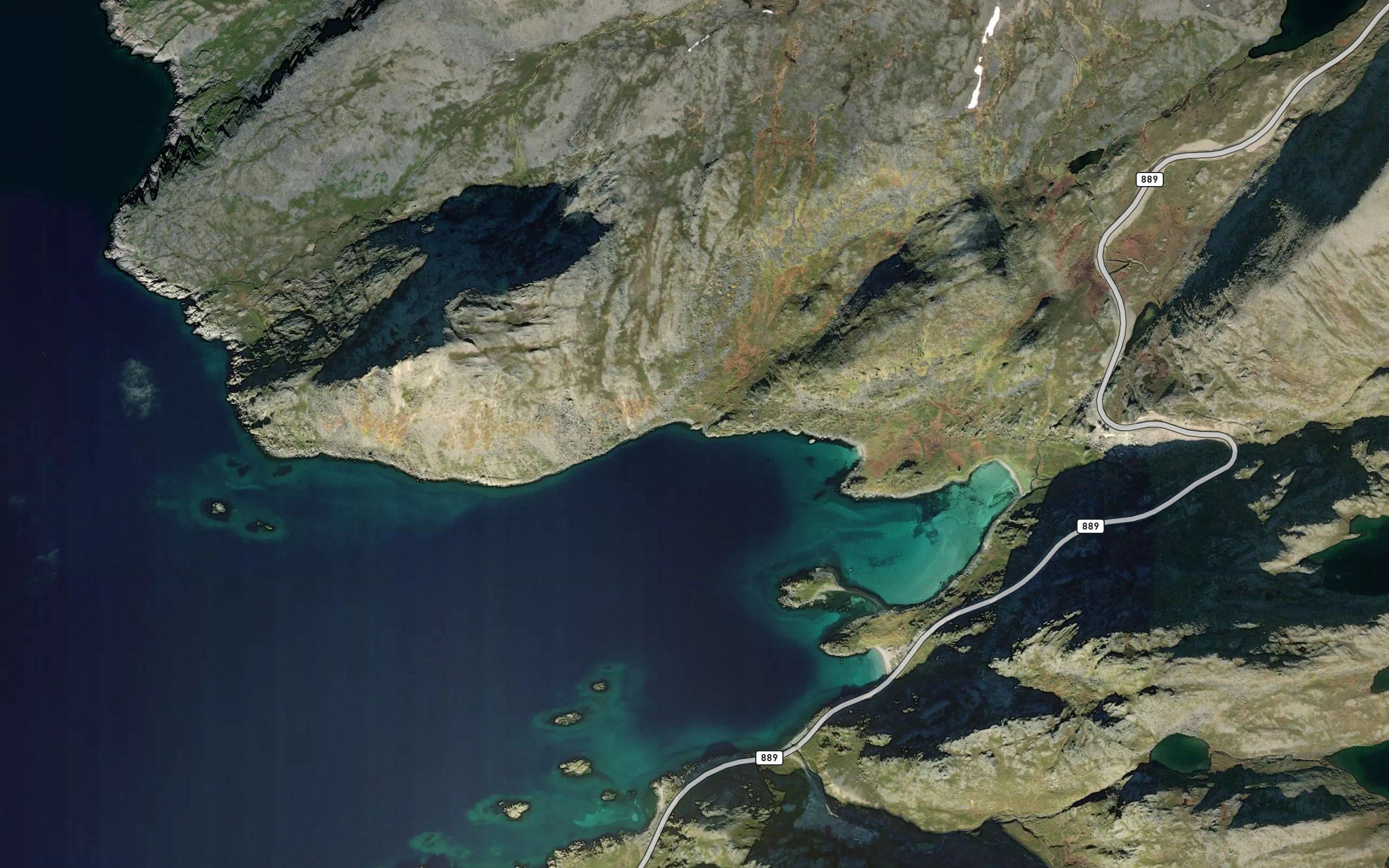 Skovika
