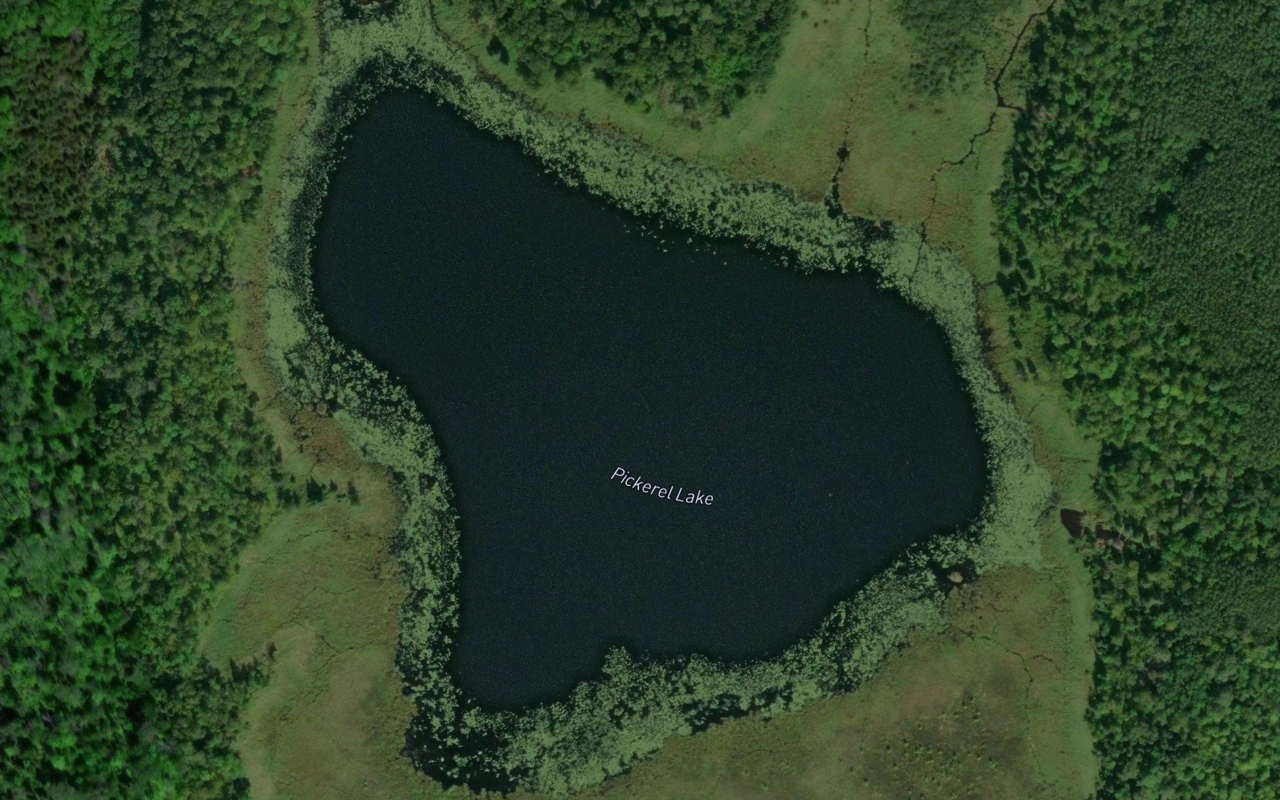 Pickerel Lake
