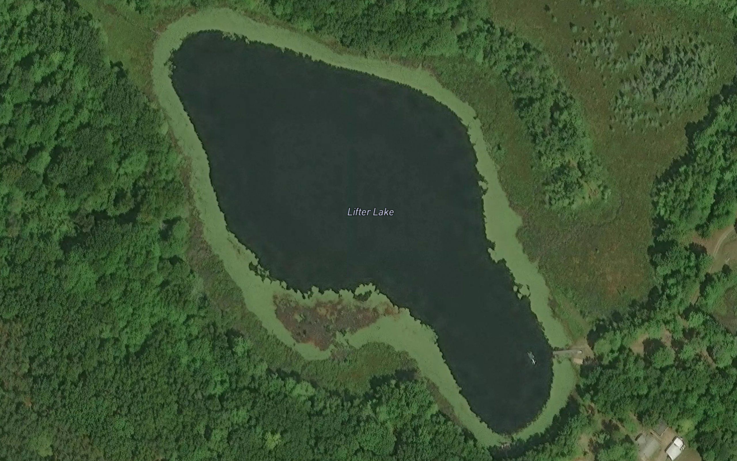 Lifter Lake