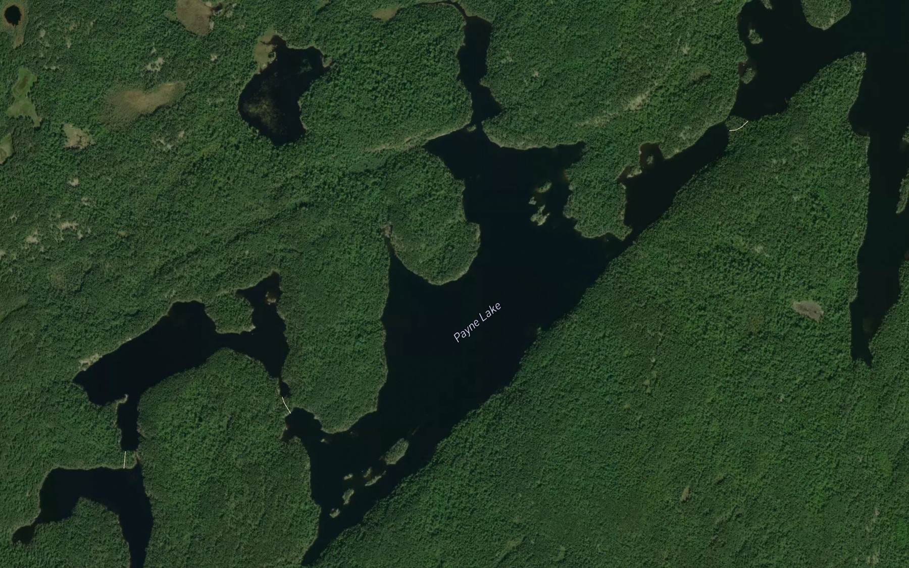 Satellite map of the Payne Lake