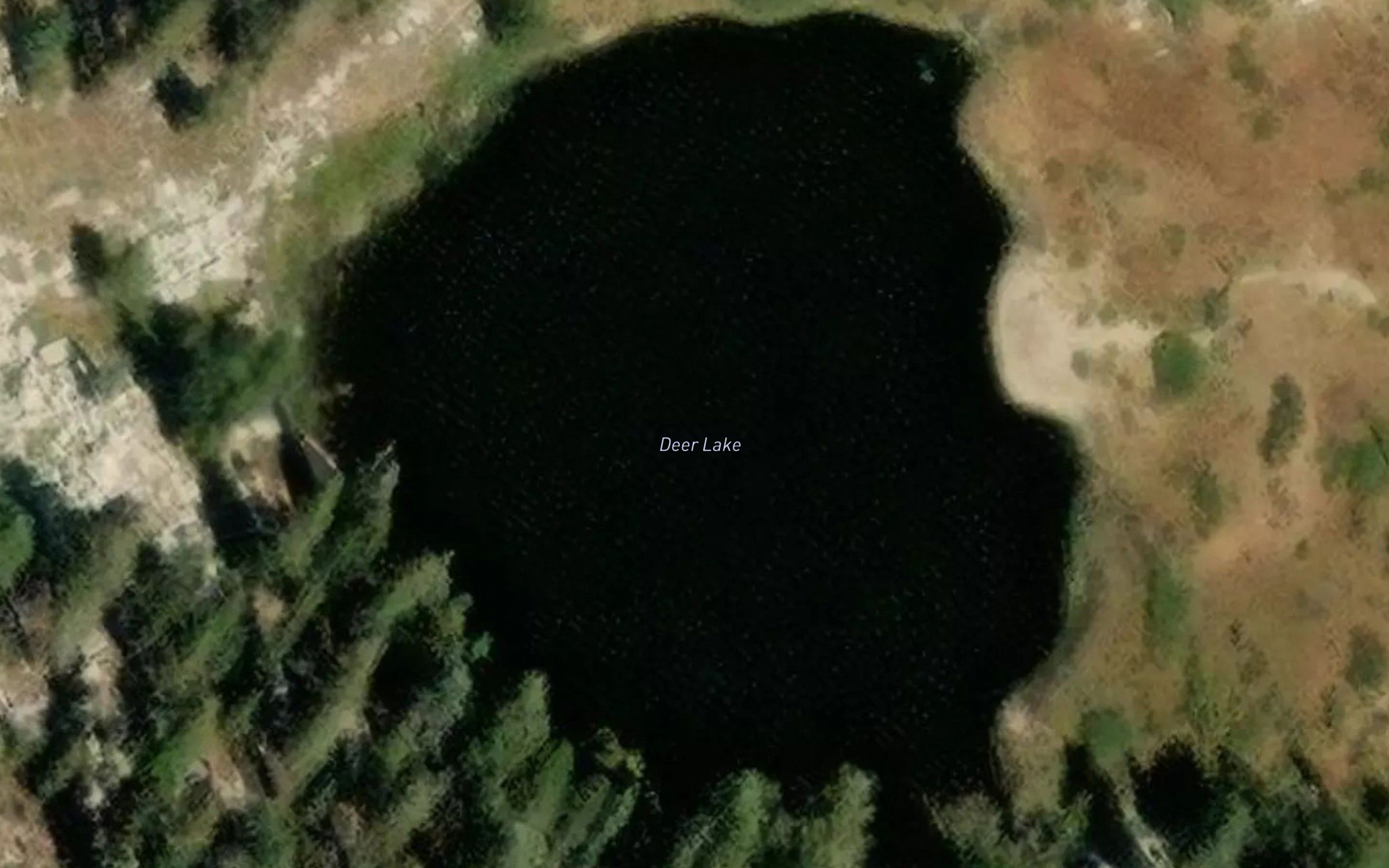 Deer Lake