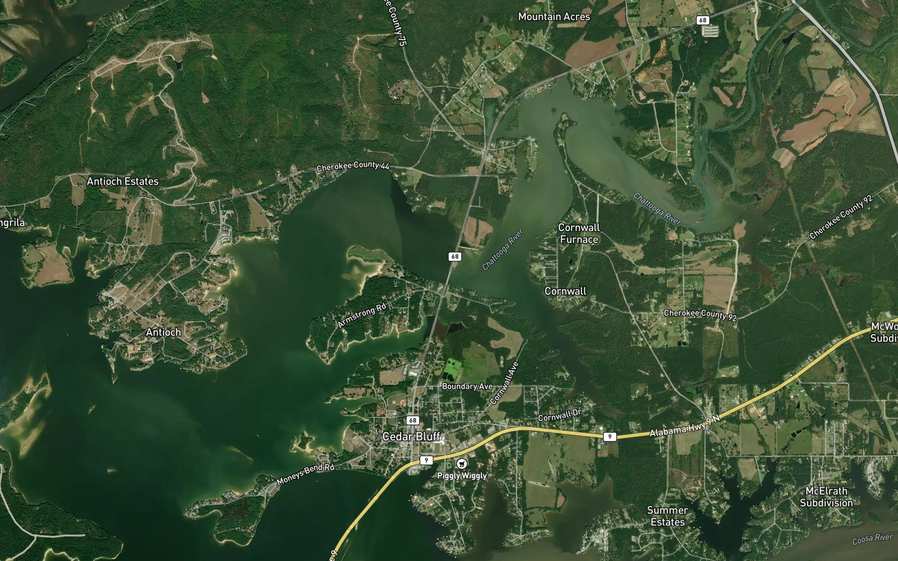 Cobia Bridge Fishing in Alabama 2026 — Live Reports, Forecast & AI ...