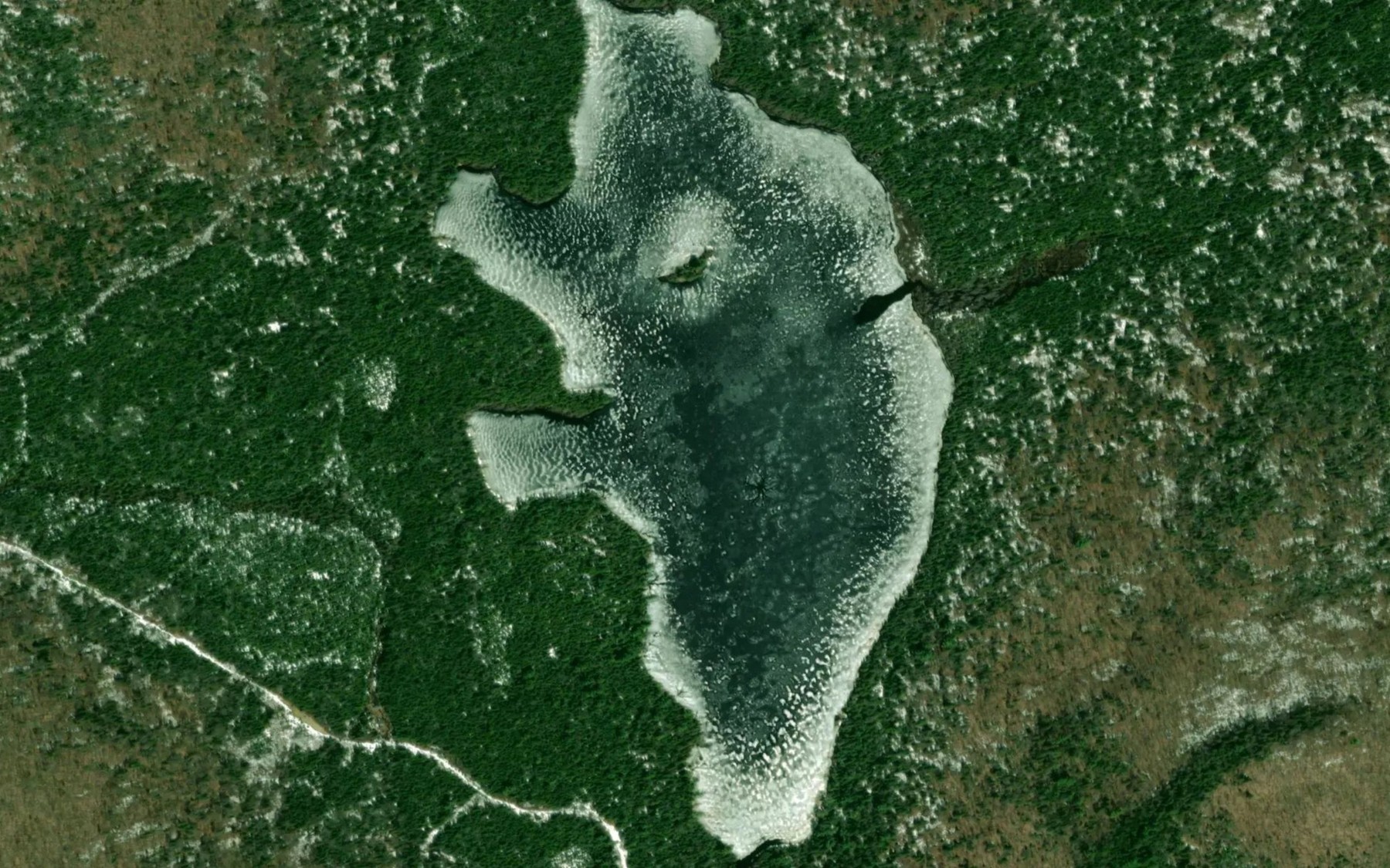 Satellite map of the Lac Butterfly