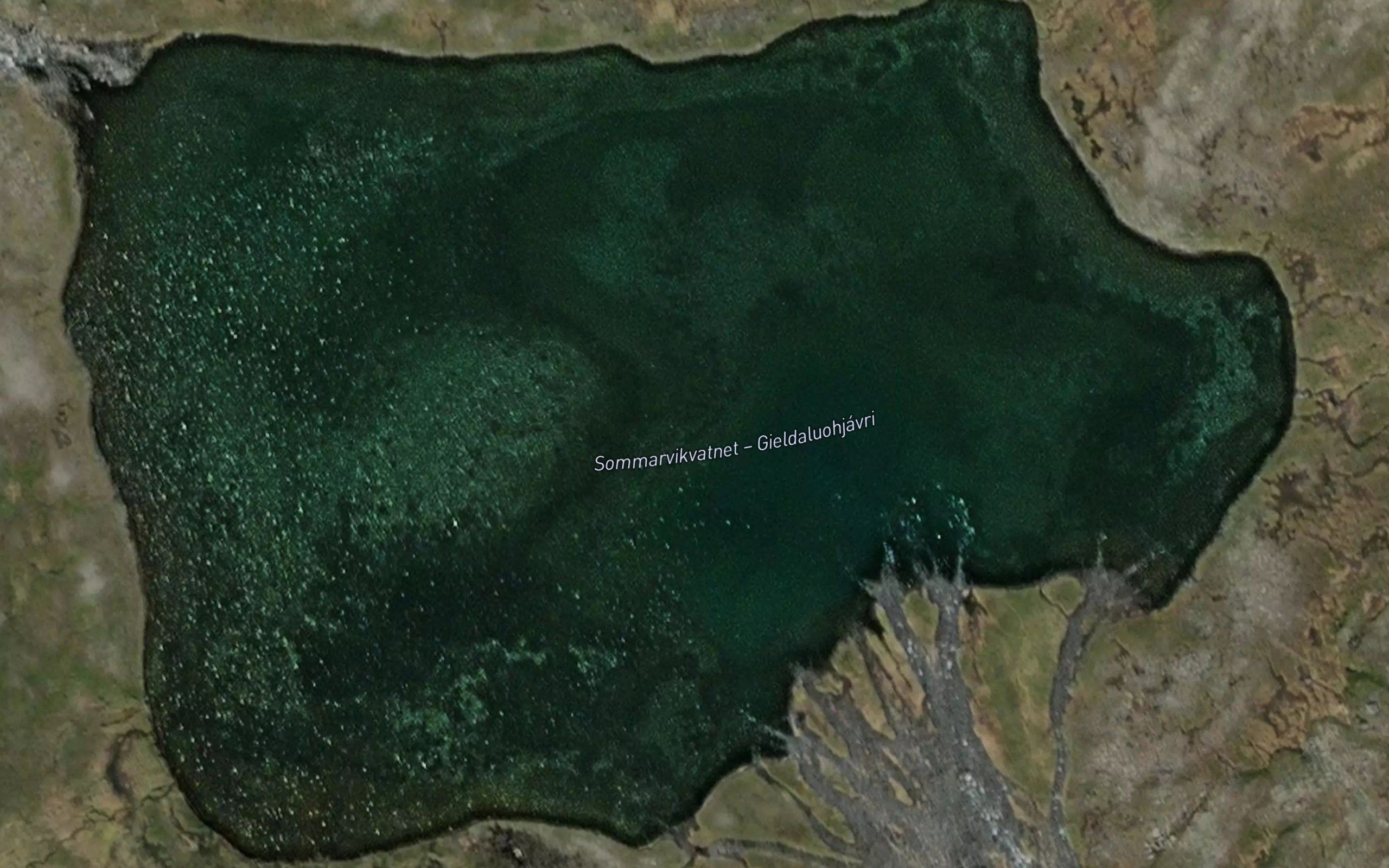 Gieldaluohjavri