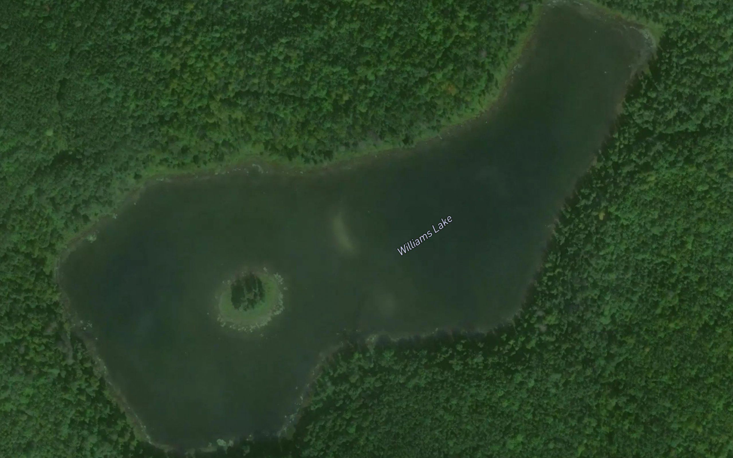 Williams Lake