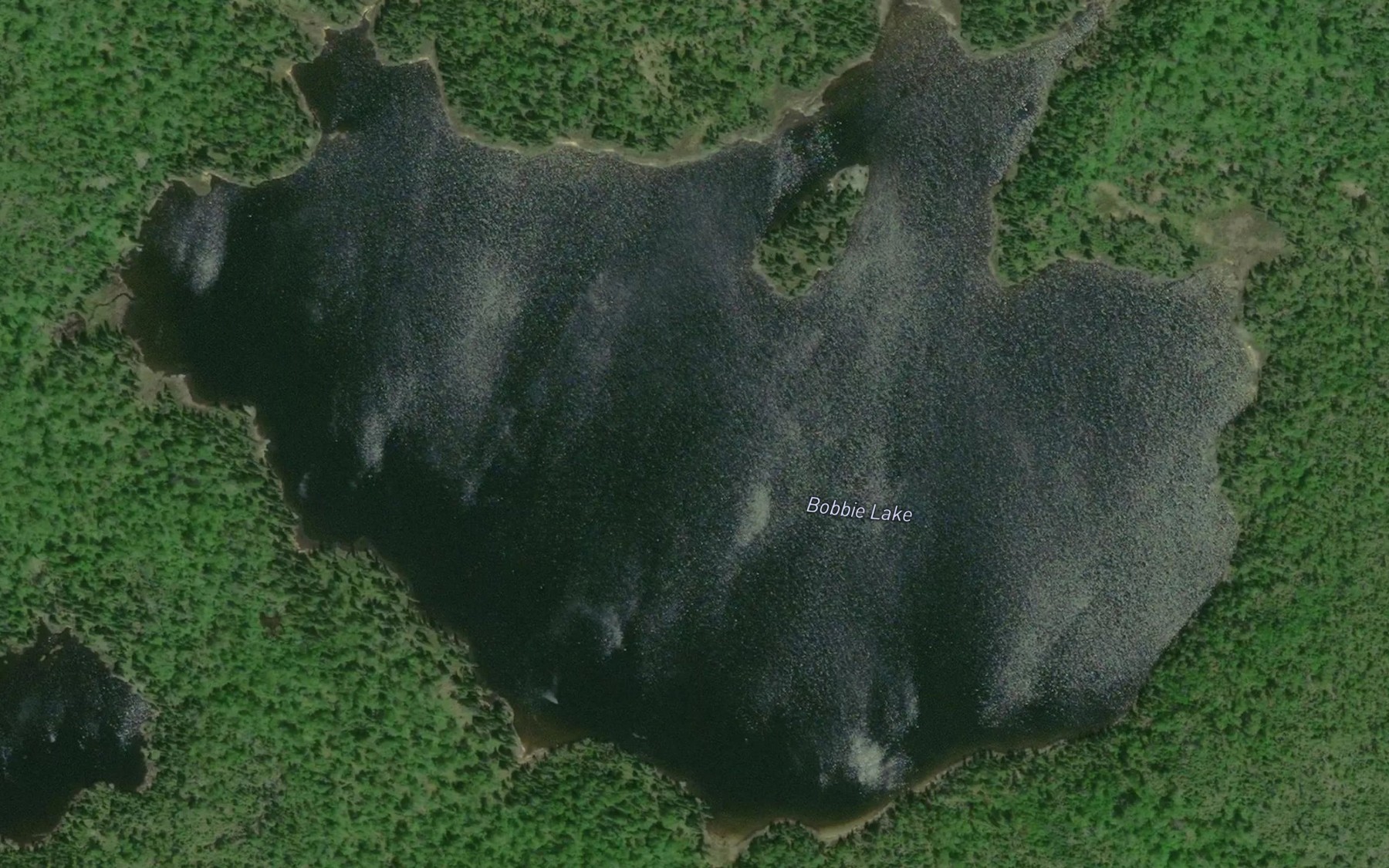 Satellite map of the Bobbie Lake