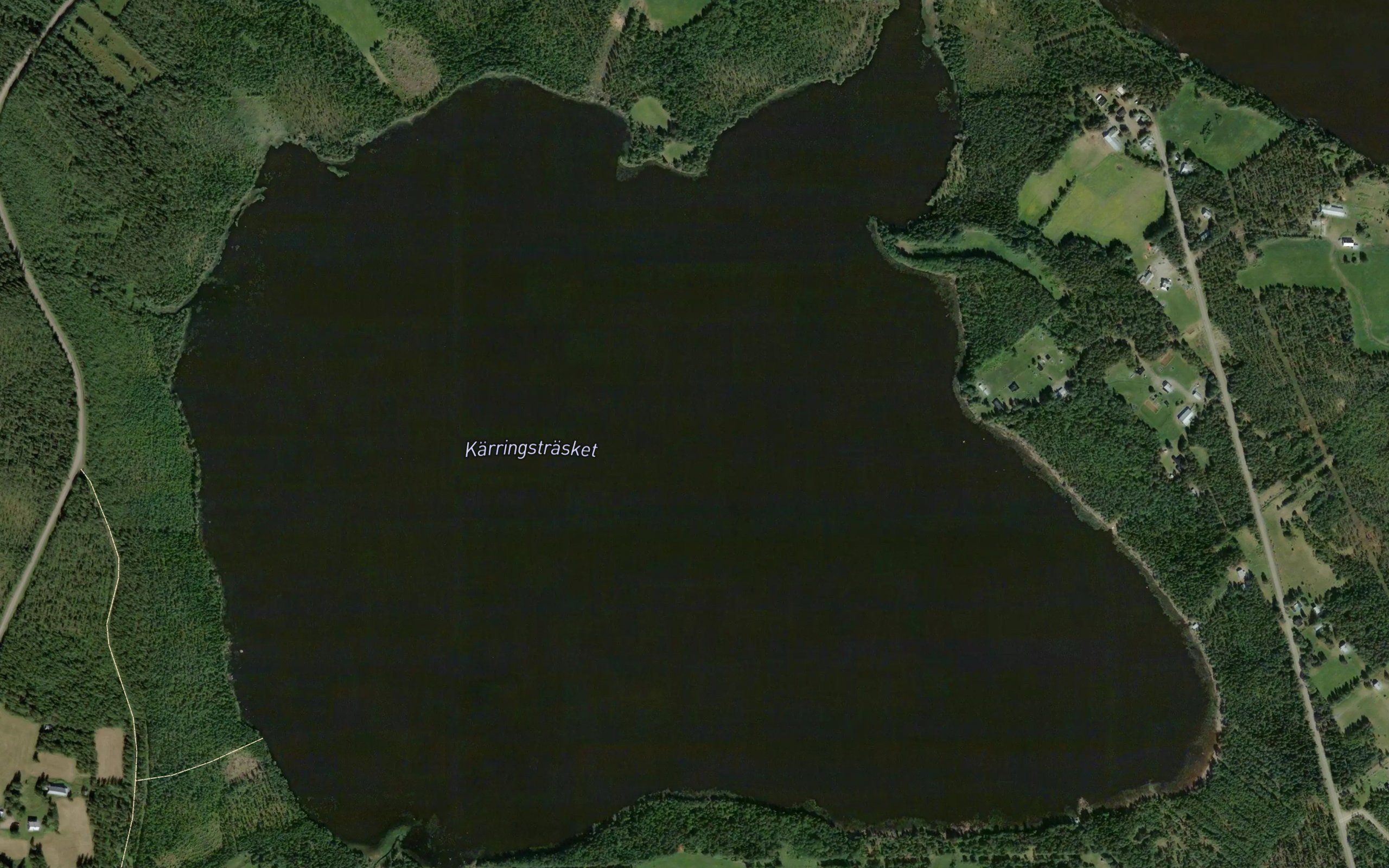 Kaeringtraesket