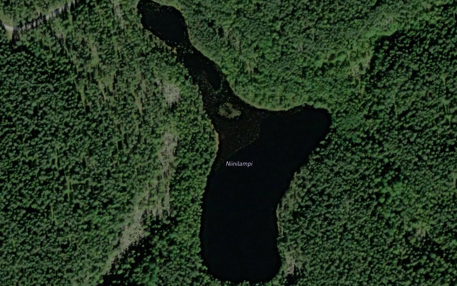 Satellite map of the Niinilampi
