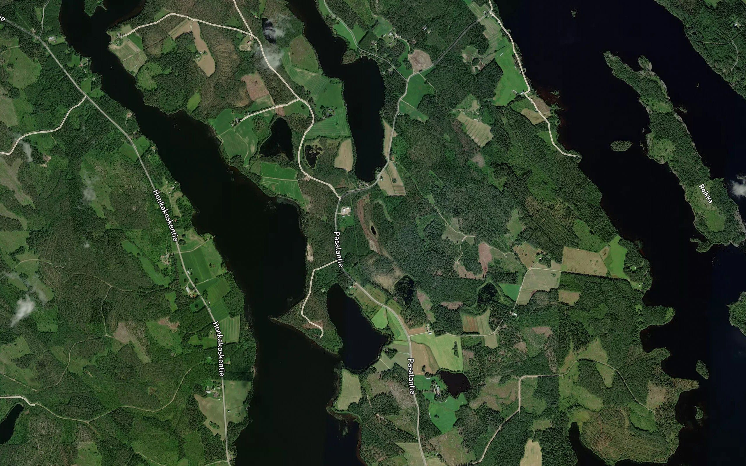 Tupalampi