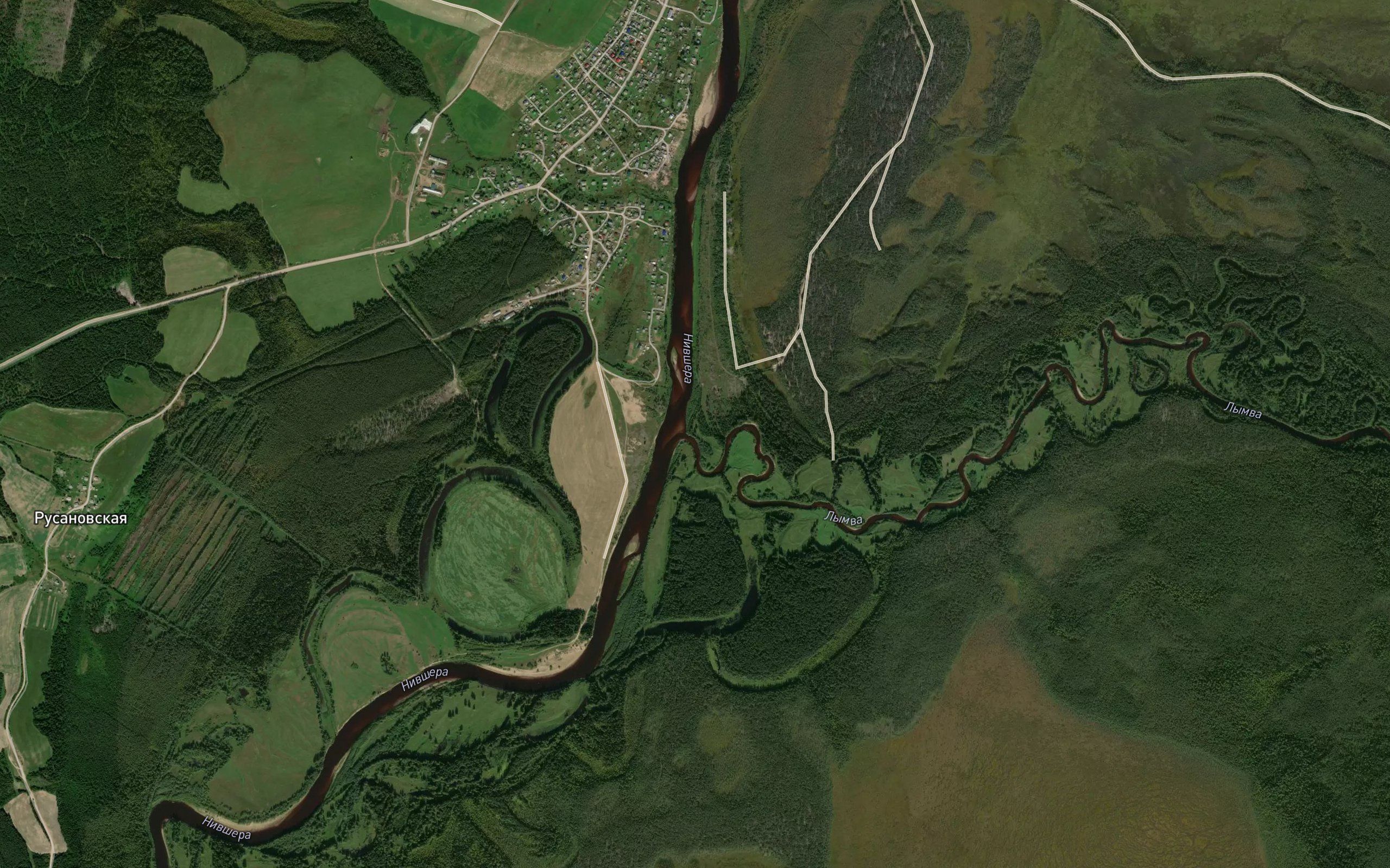 Lymva