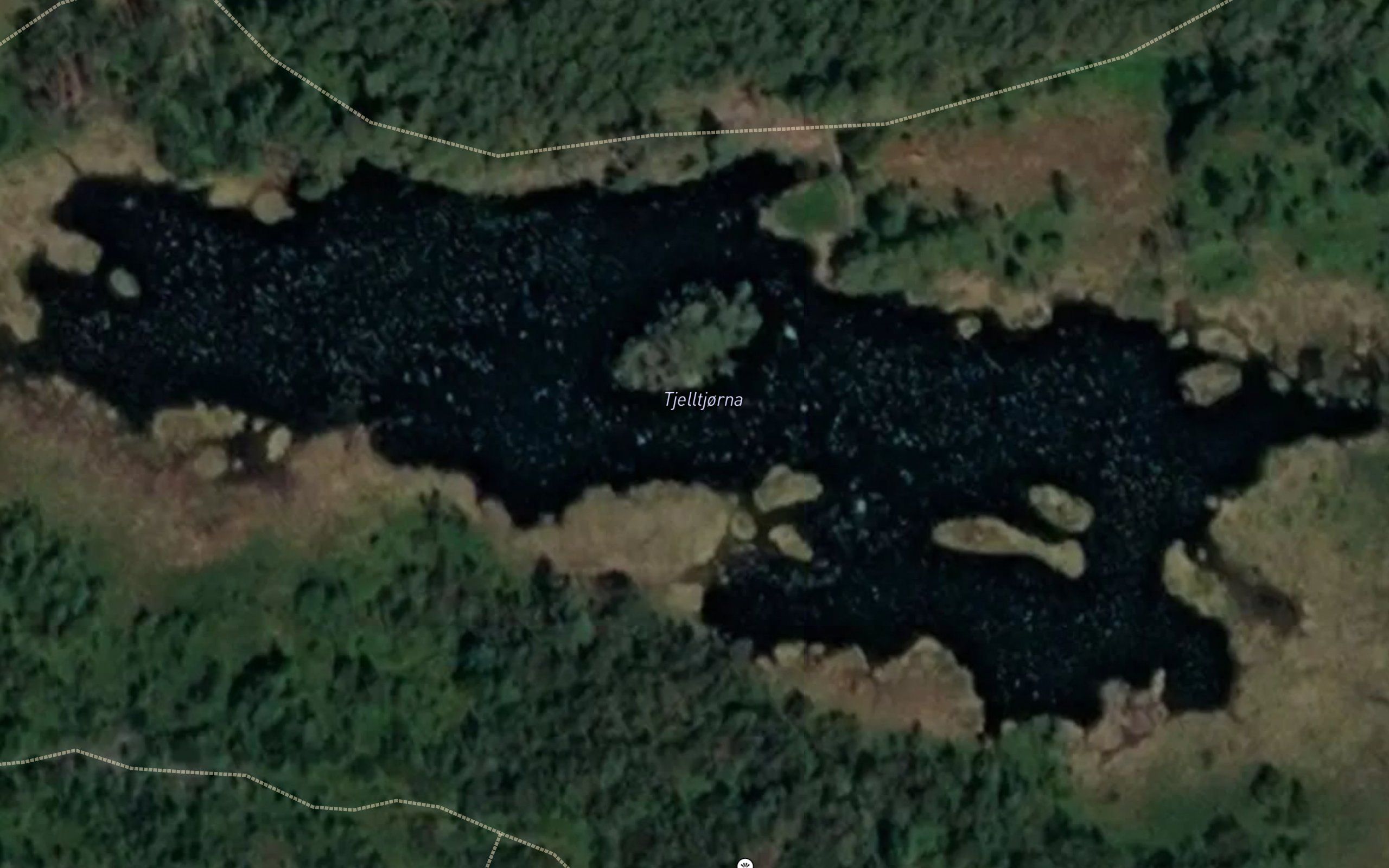 Tjelltjorna
