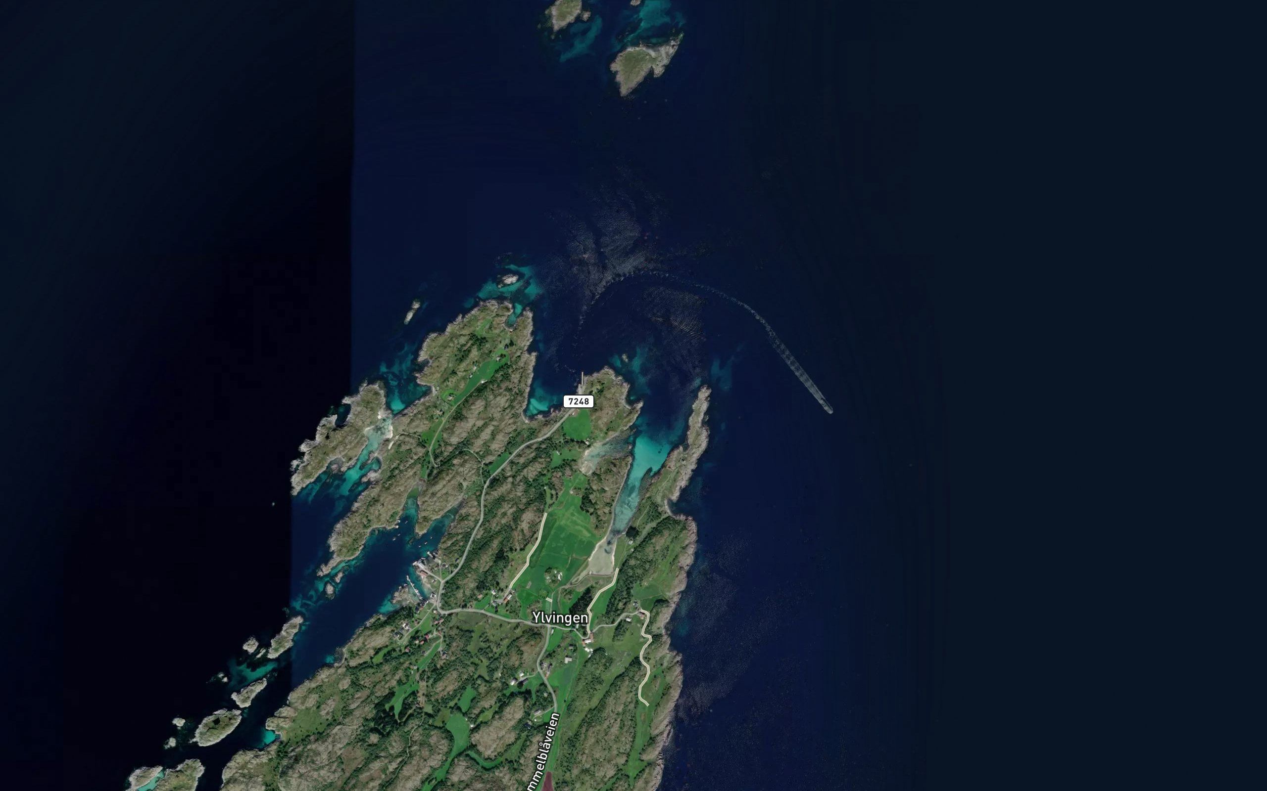 Finnvikja
