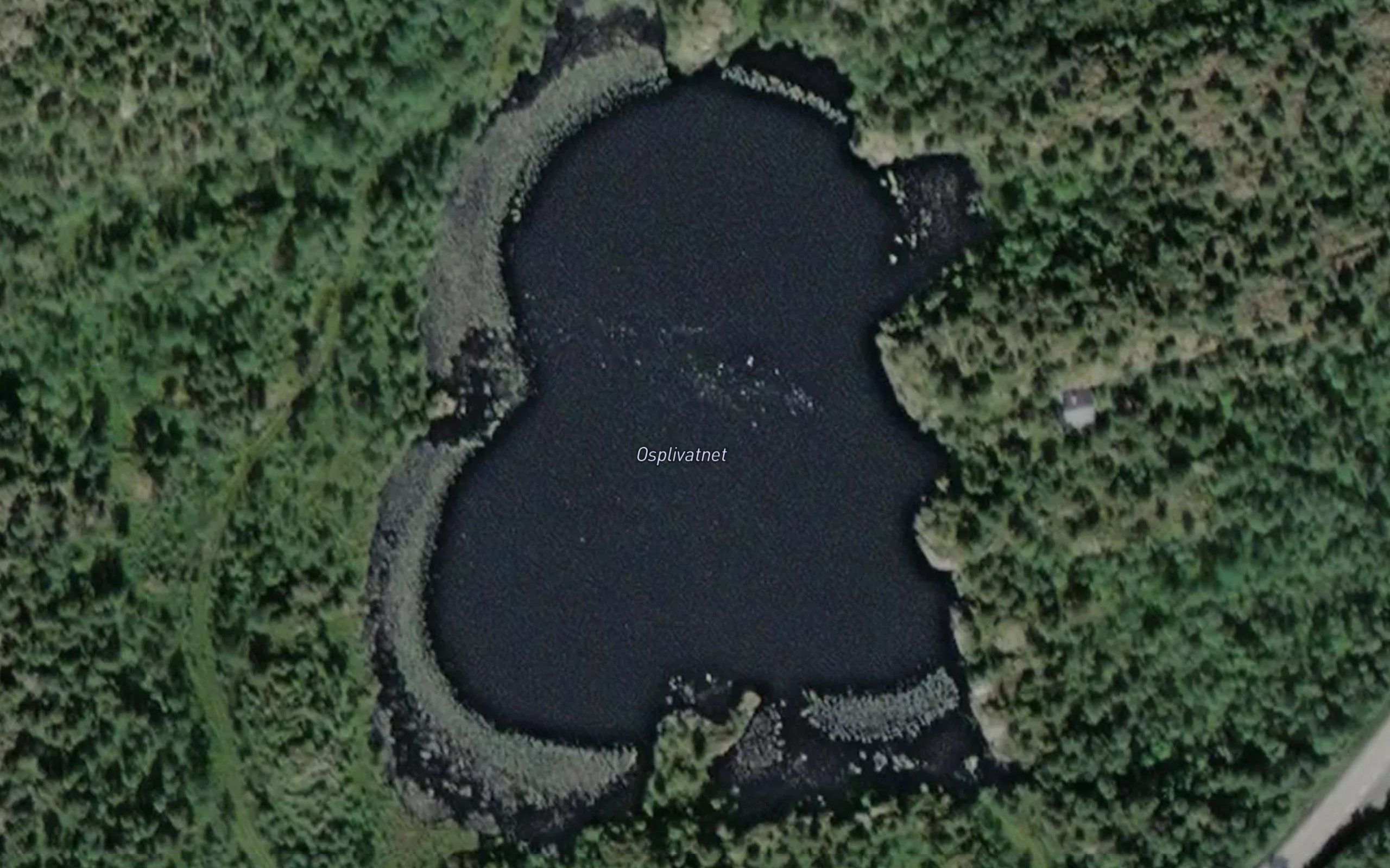 Osplivatnet