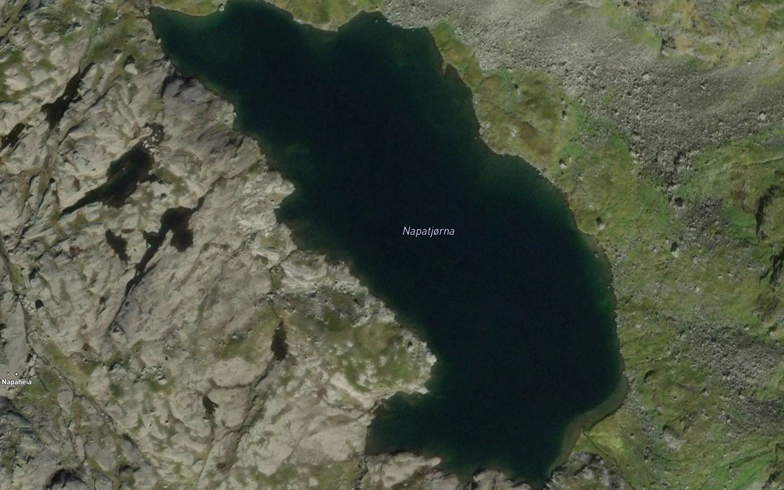 Napatjorna