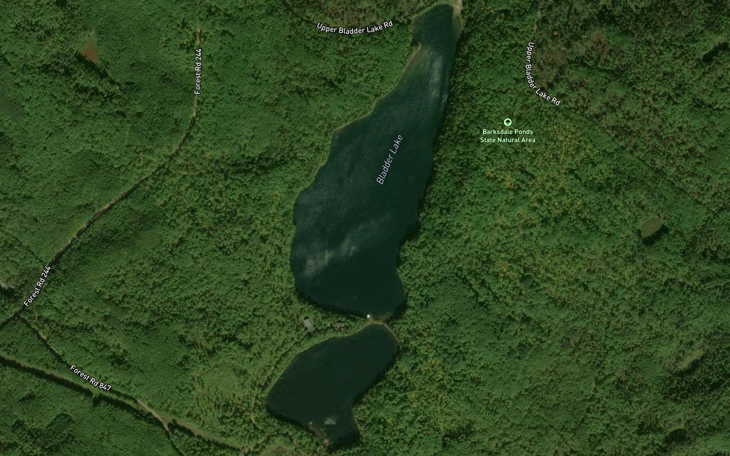 Bladder Lake
