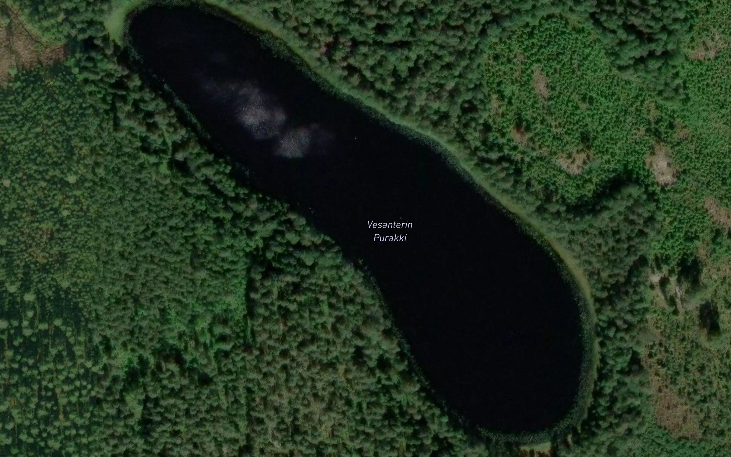 Vesanterin Purakki