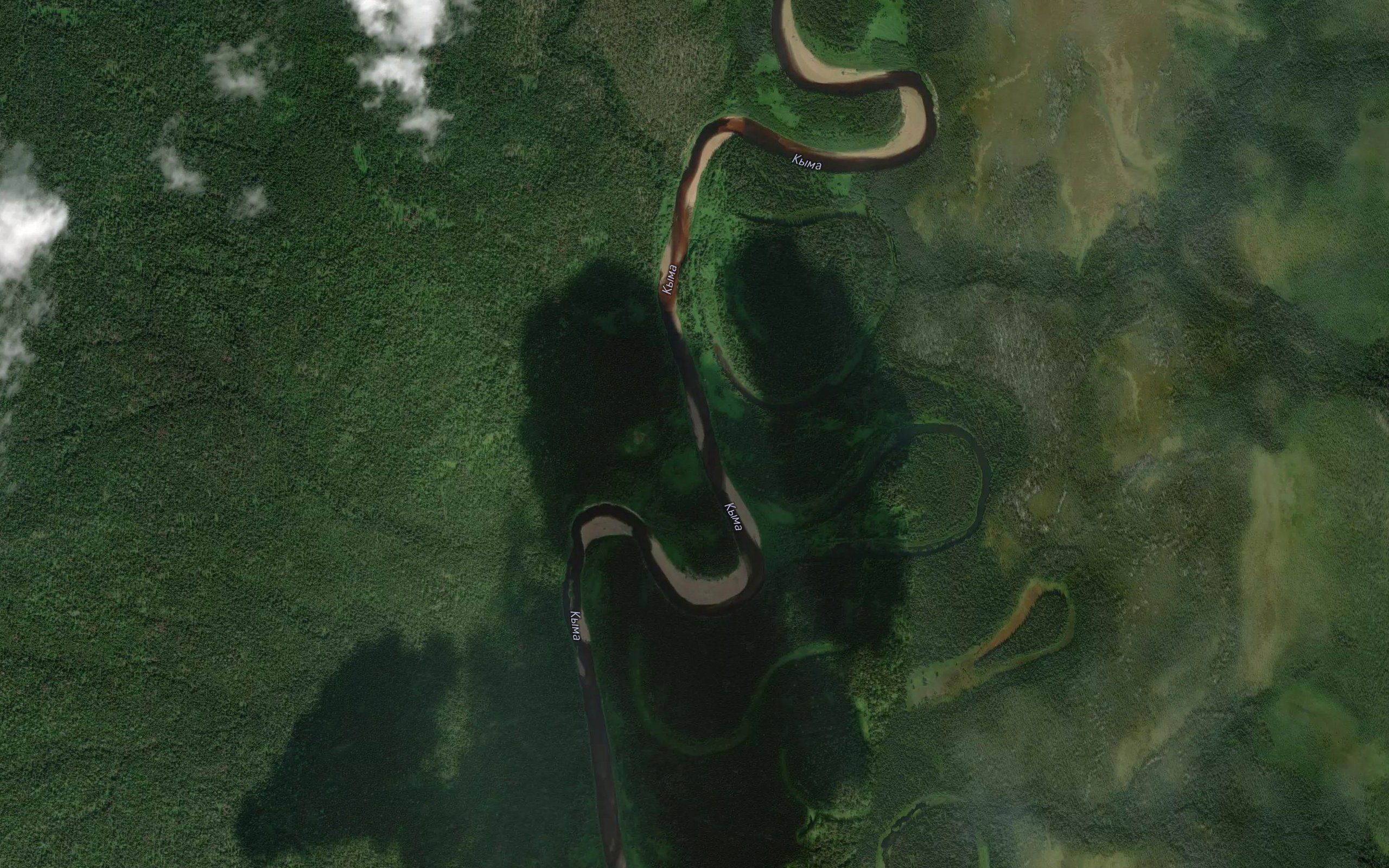 Fedotov
