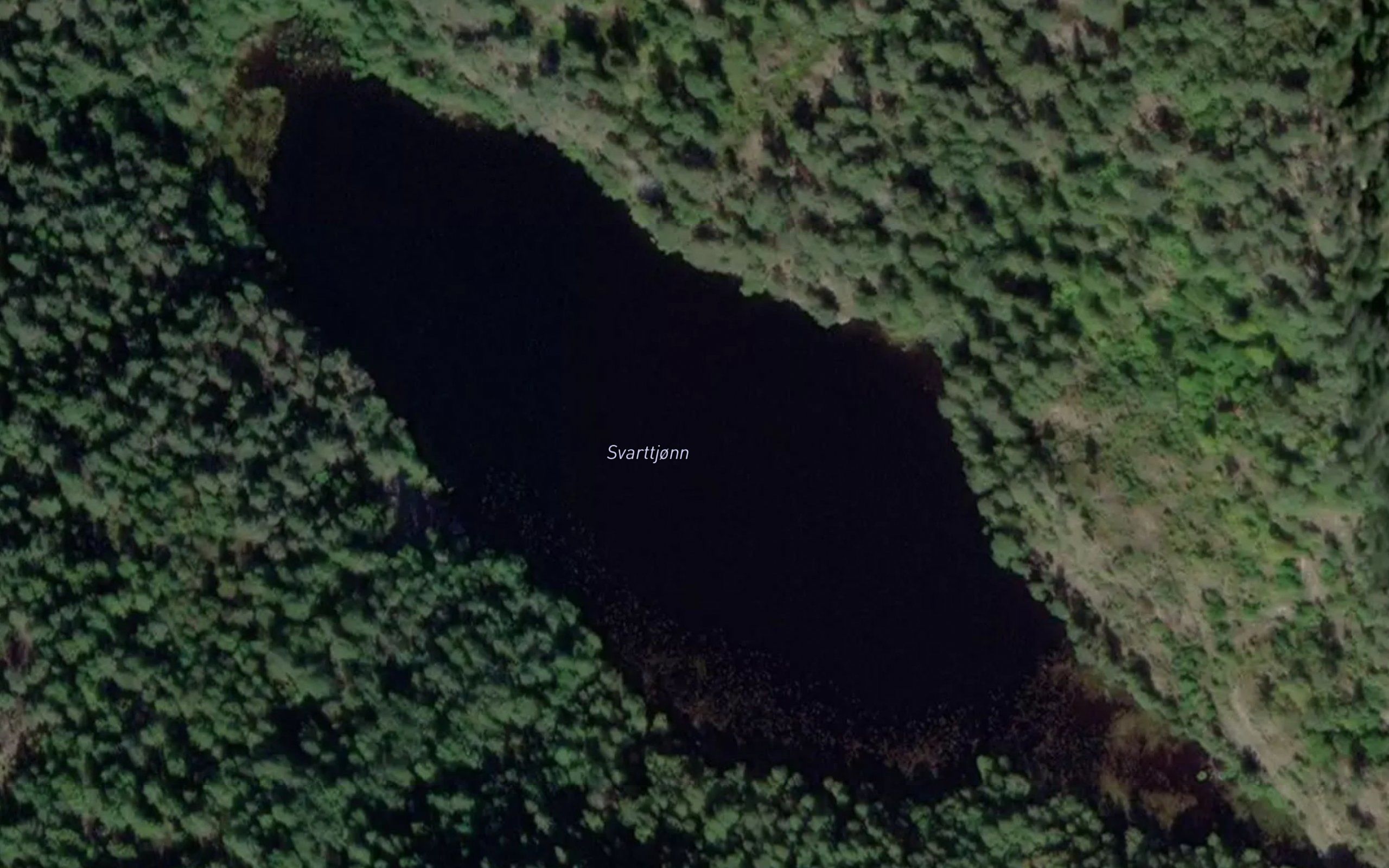 Svarttjern
