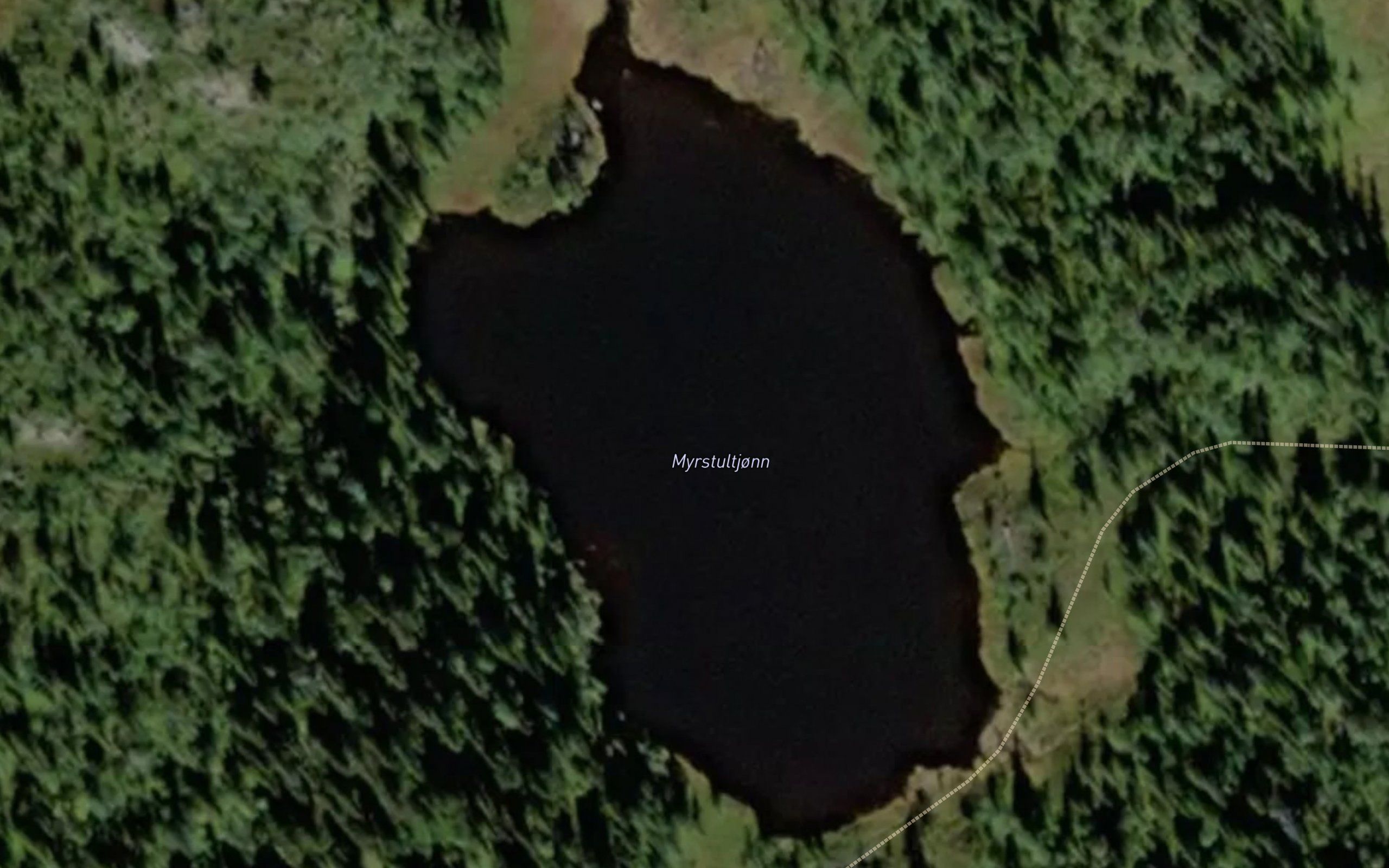 Myrstultjonn