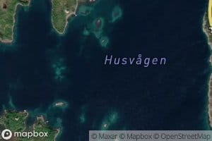 Husvagpollen