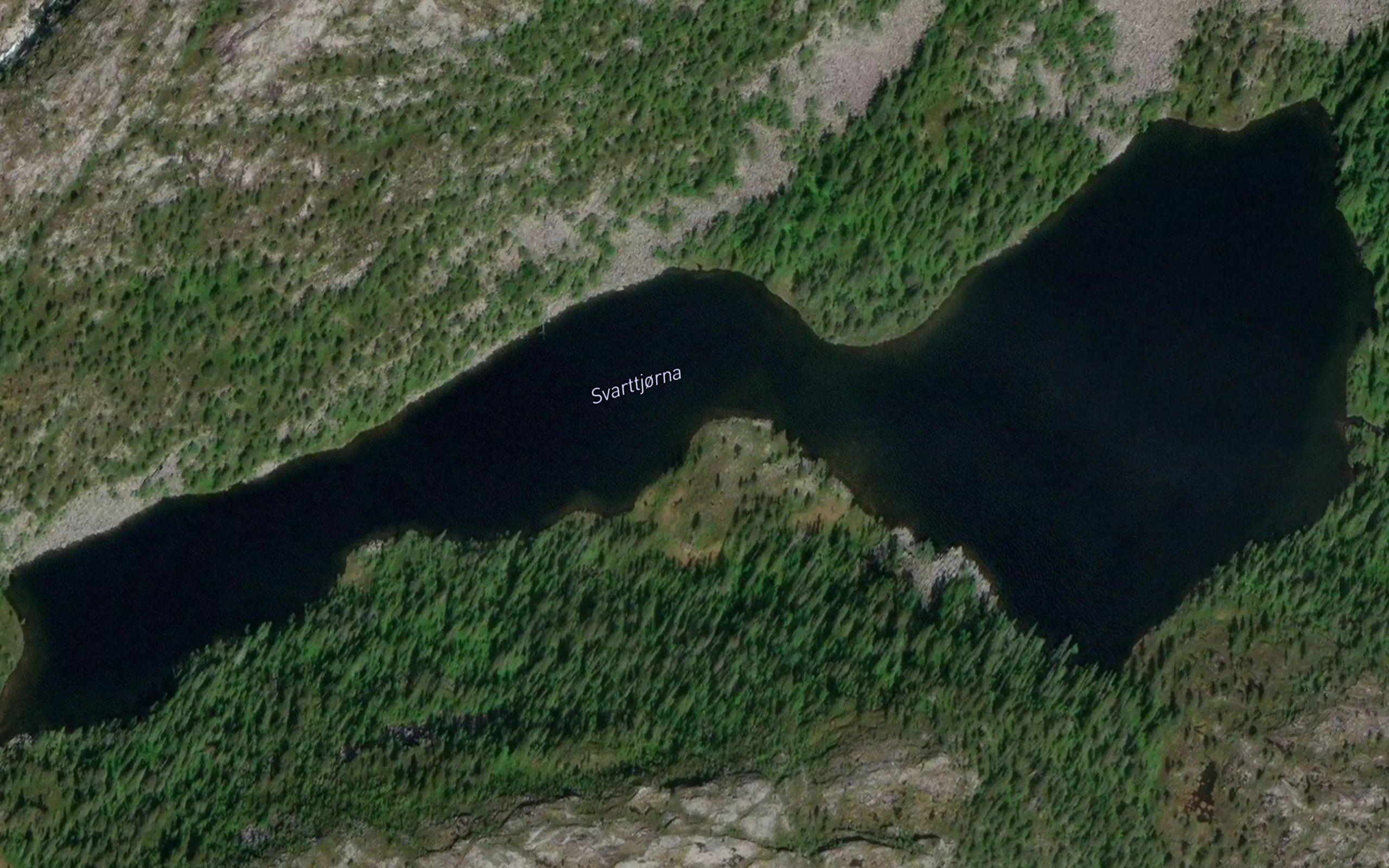 Svarttjorna