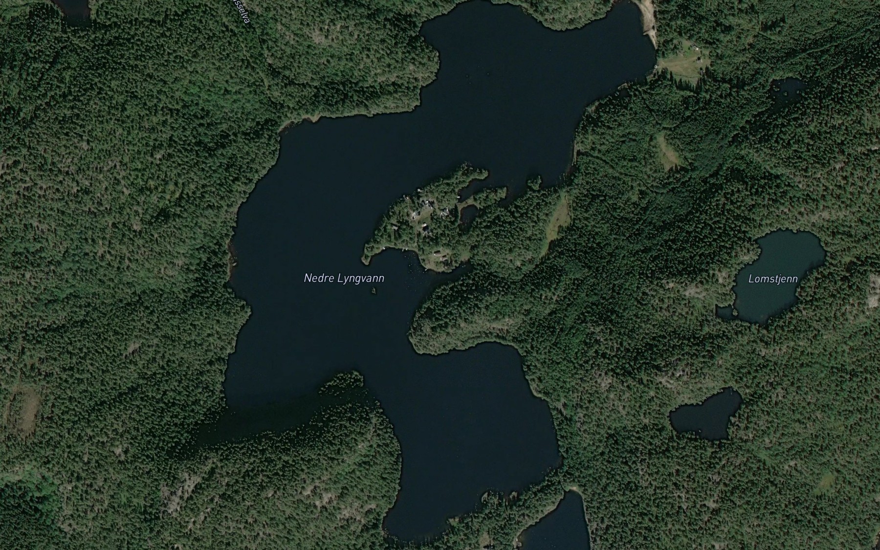 Satellite map of the Lyngvatn