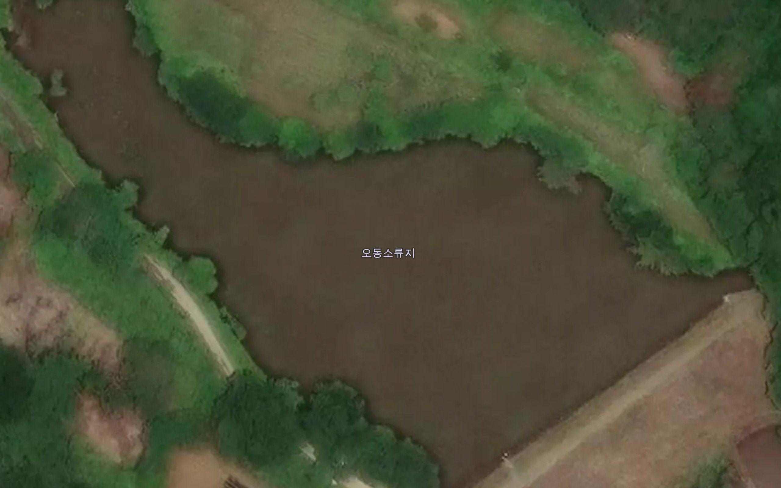 K'un'gol-chosuji