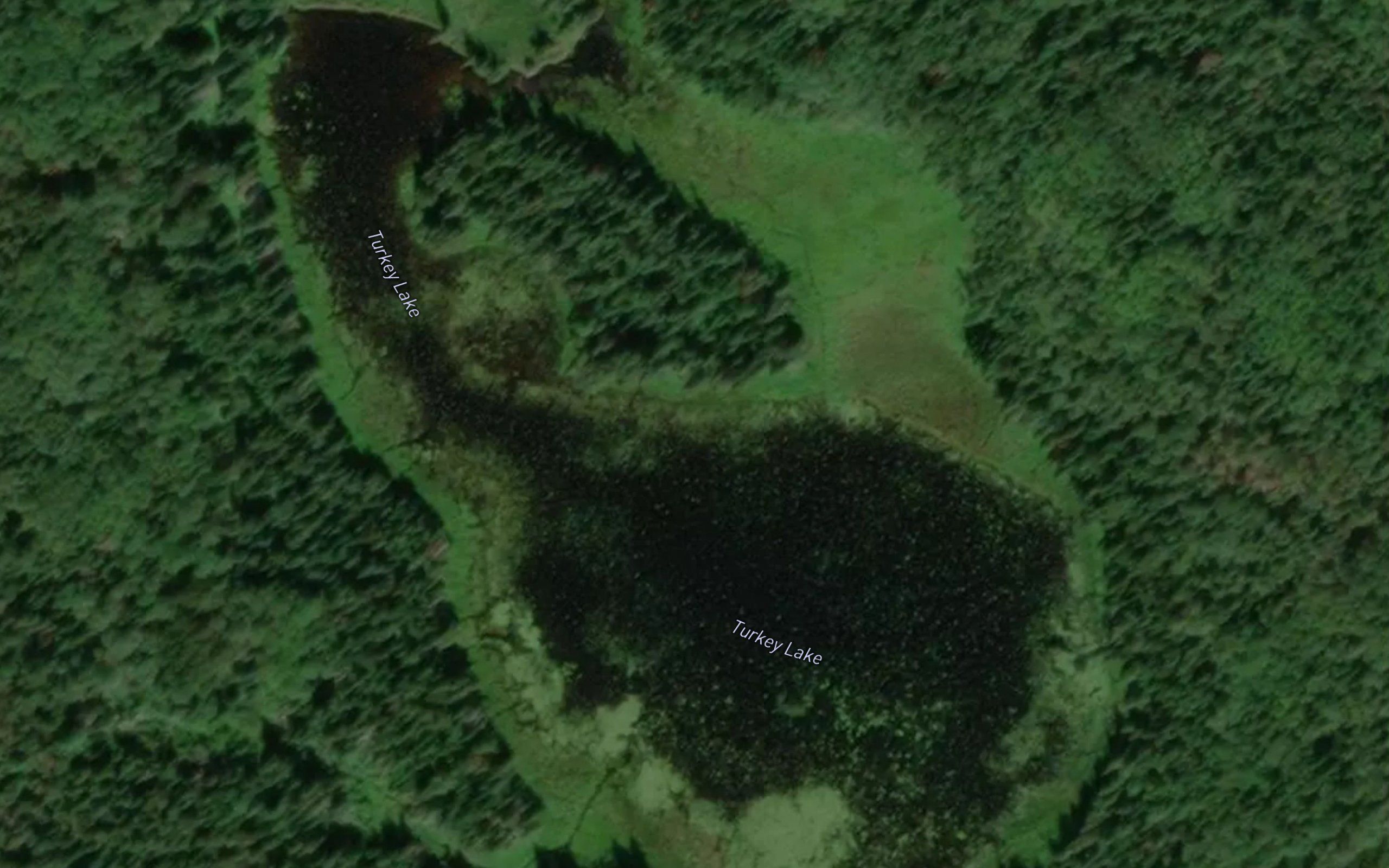 Turkey Lake