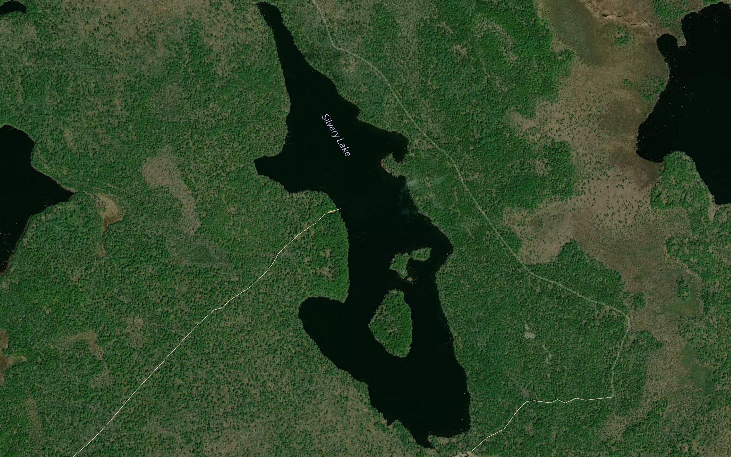 Silvery Lake