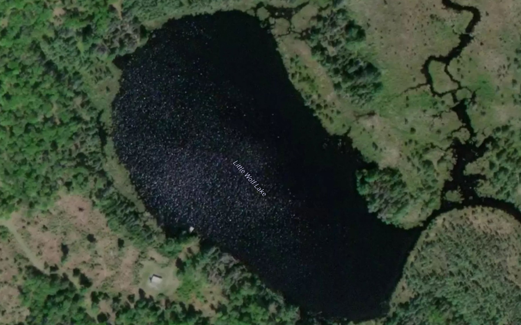 Satellite map of the Little Wolf Lake