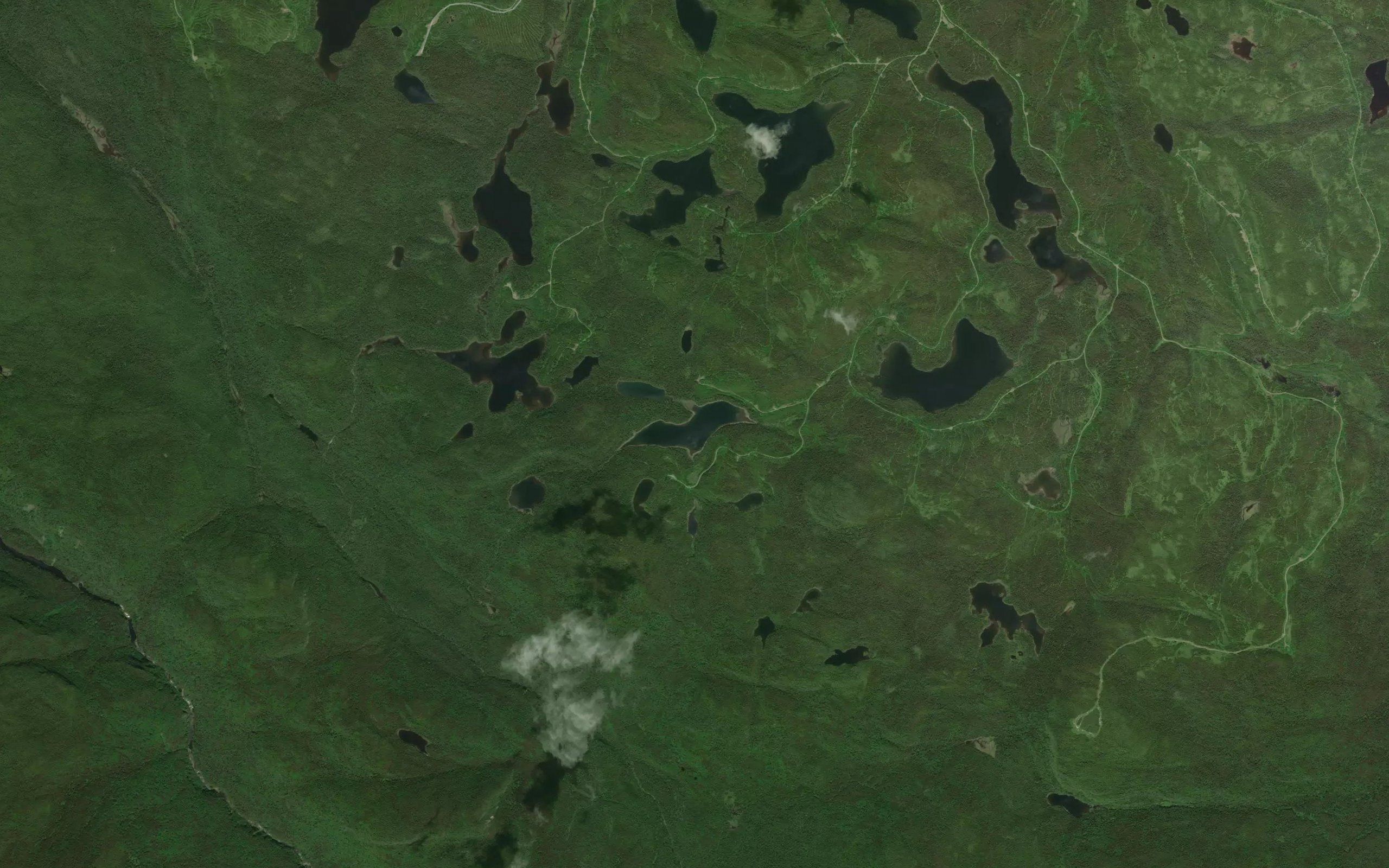 Lac Bacon