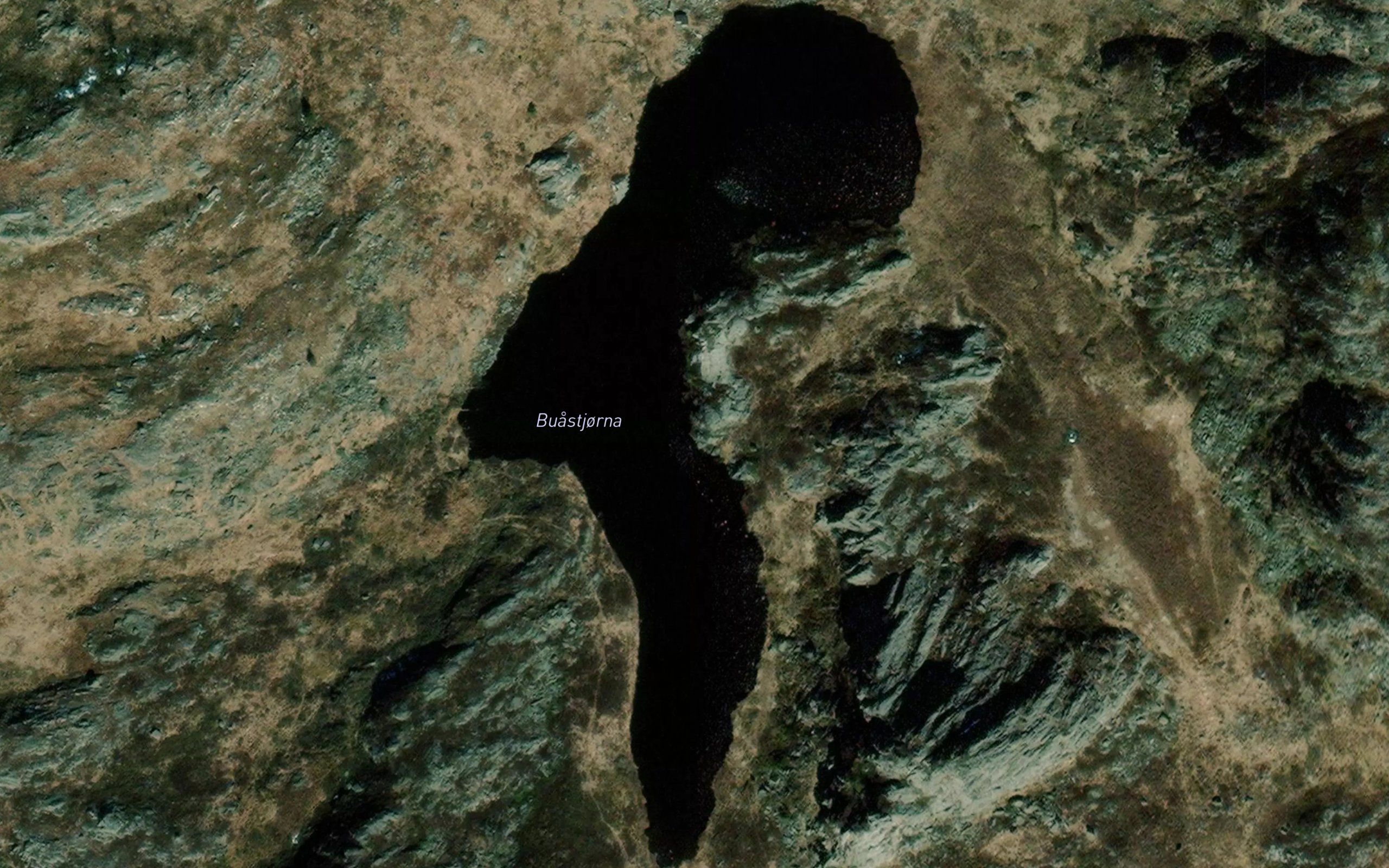 Bua