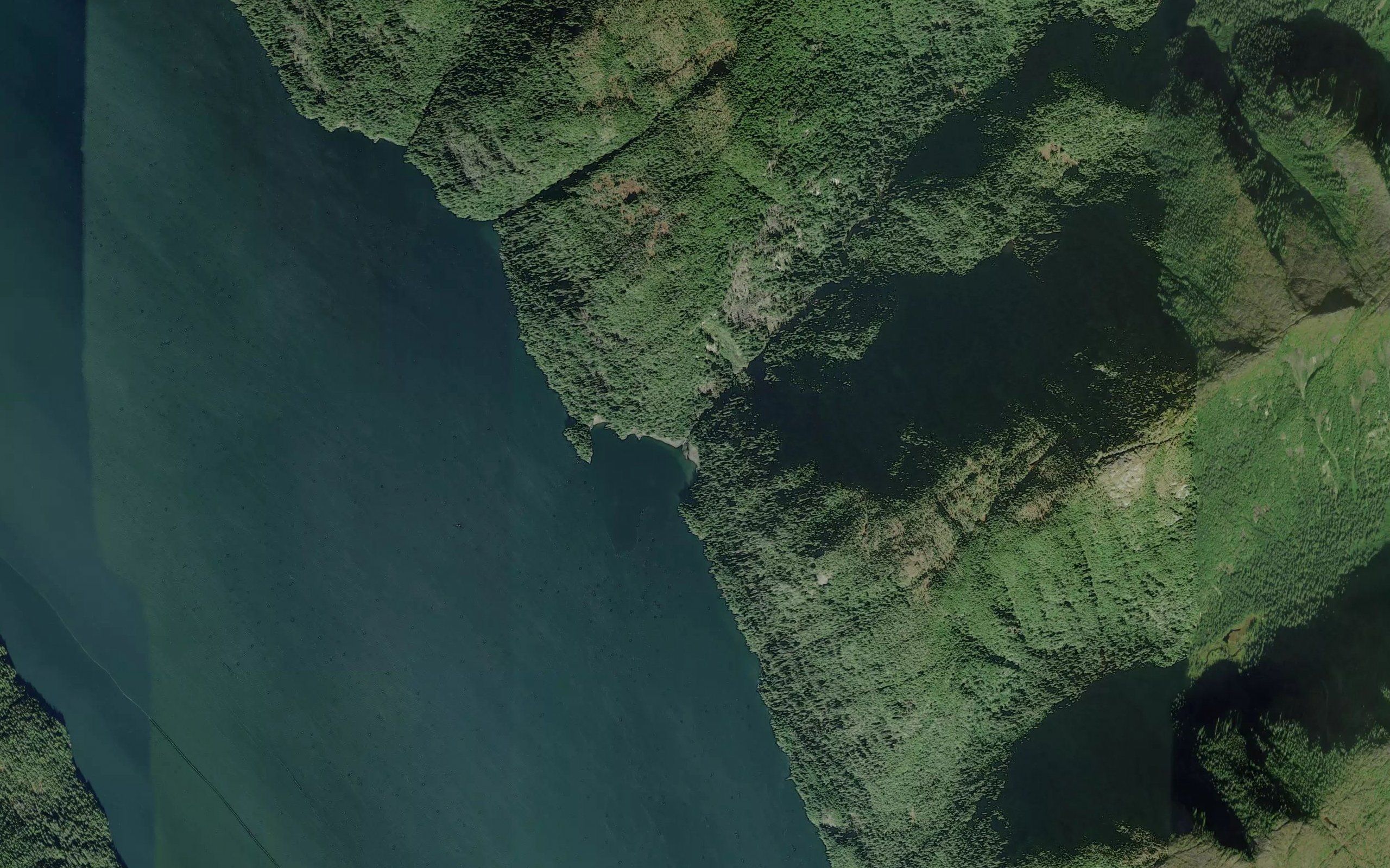Robinson Creek