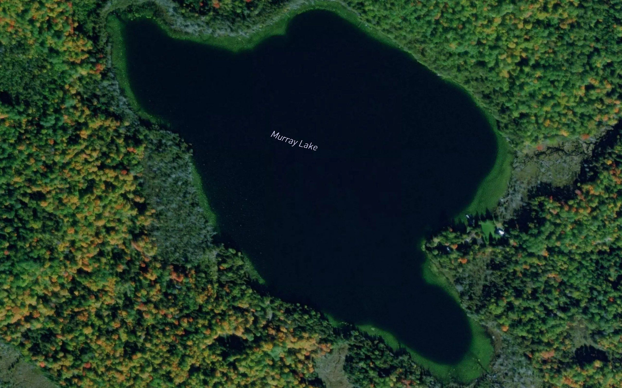 Murray Lake