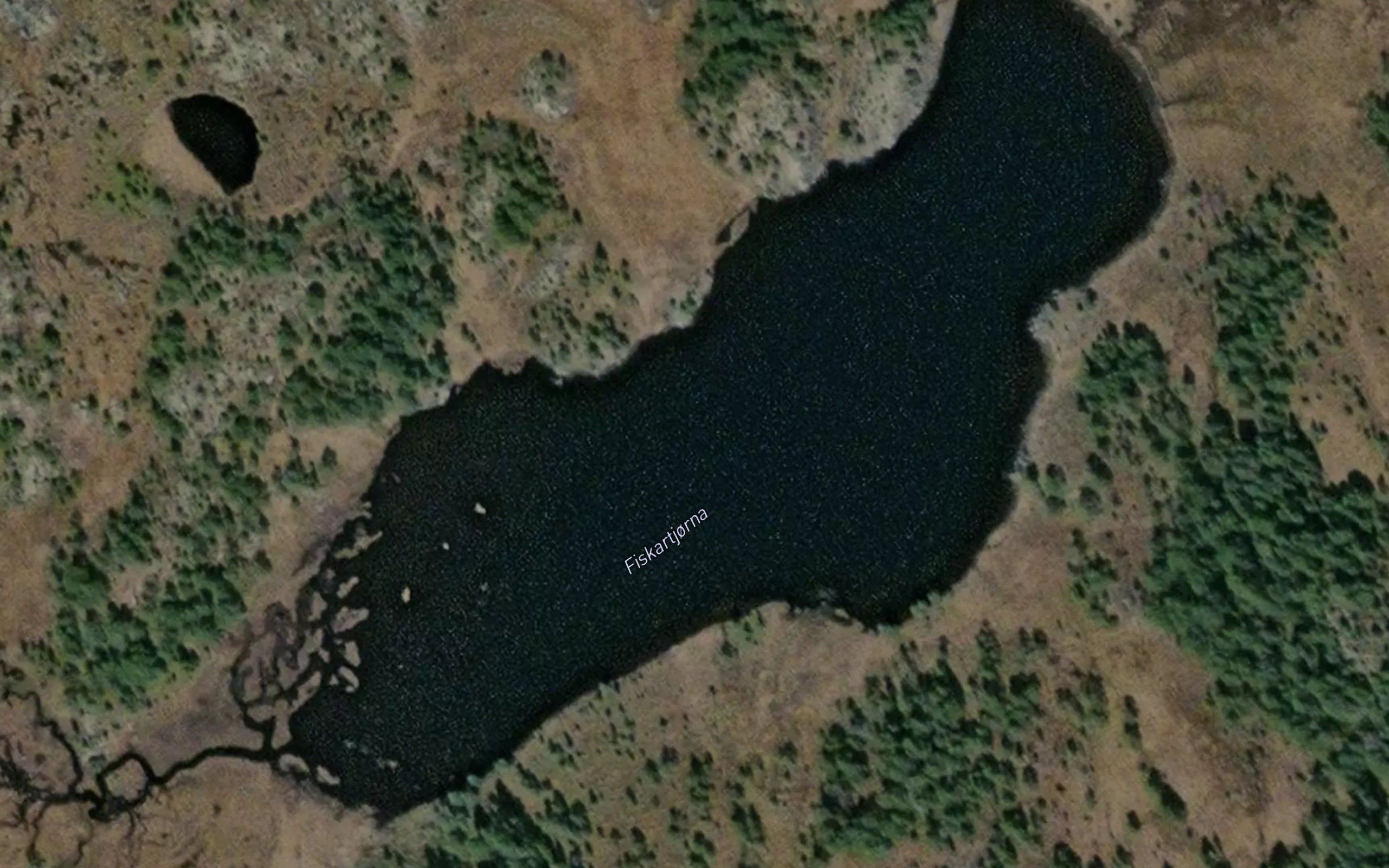 Fiskartjorna