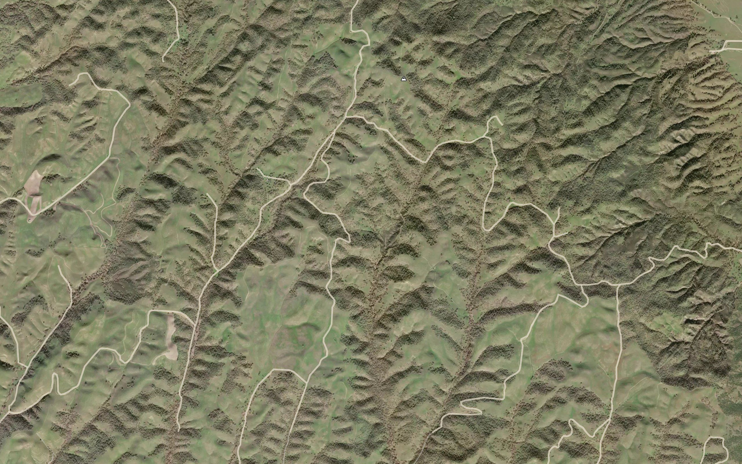 Harlan Spring