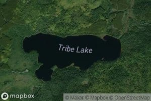 Tribe Lake