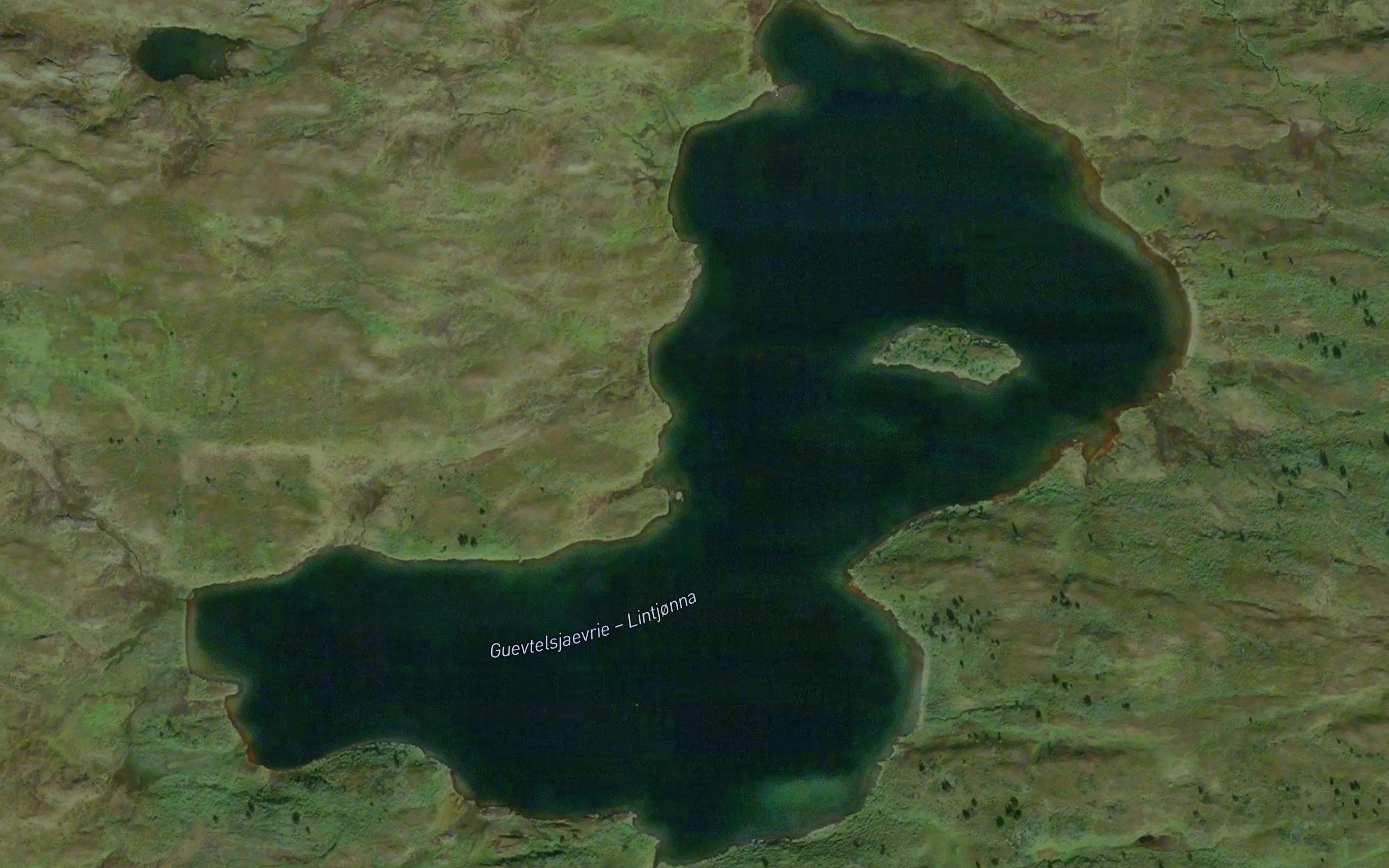 Guevtelsjaevrie