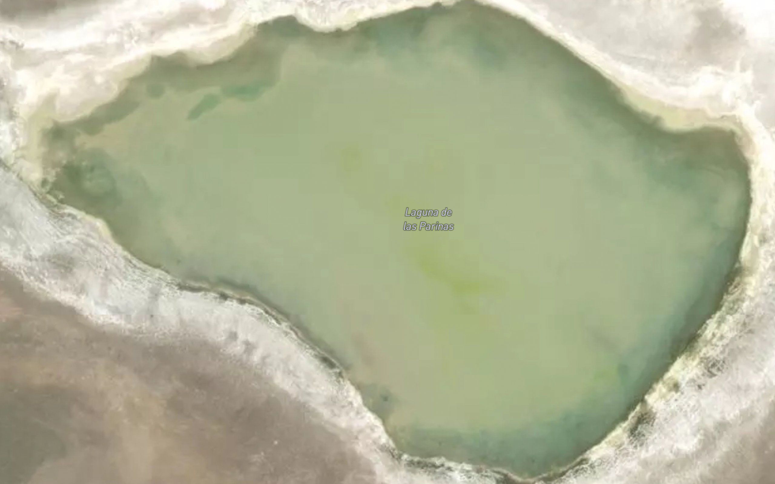 Laguna de Las Parinas