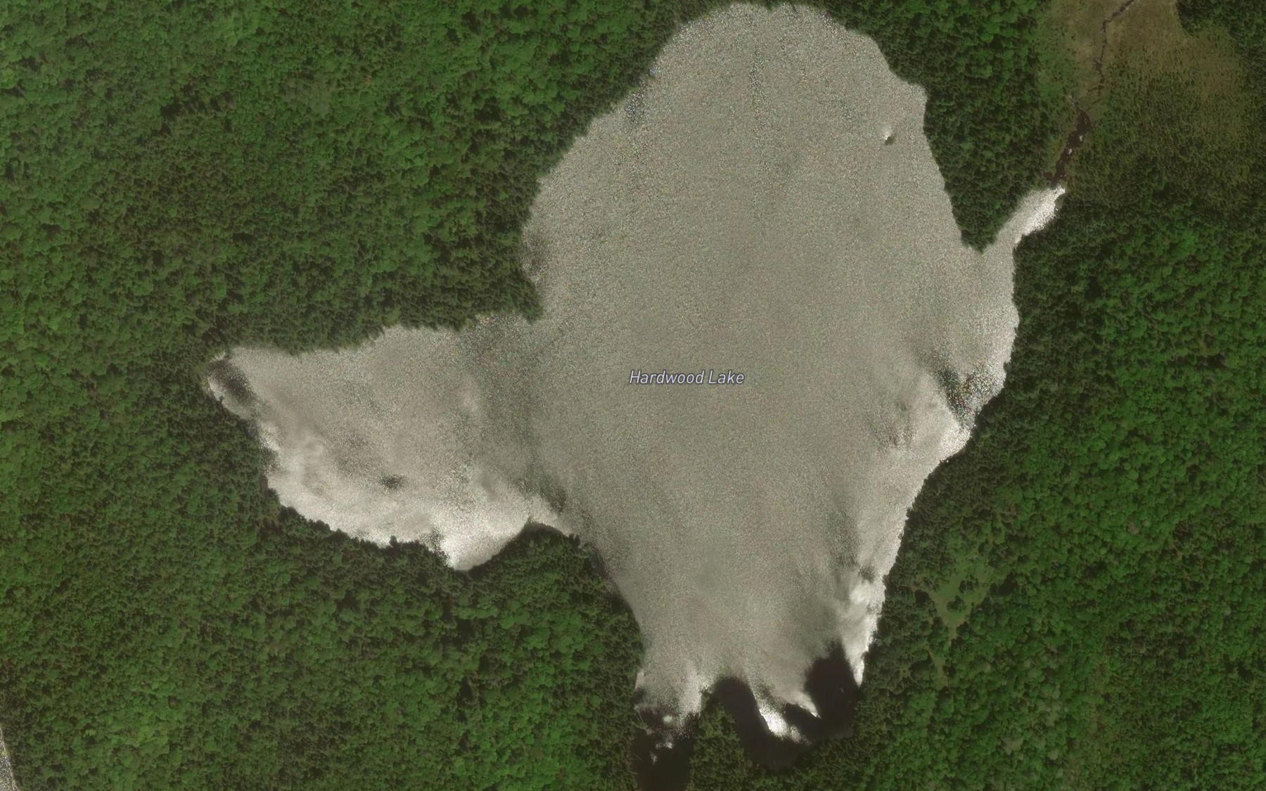Satellite map of the Hardwood Lake