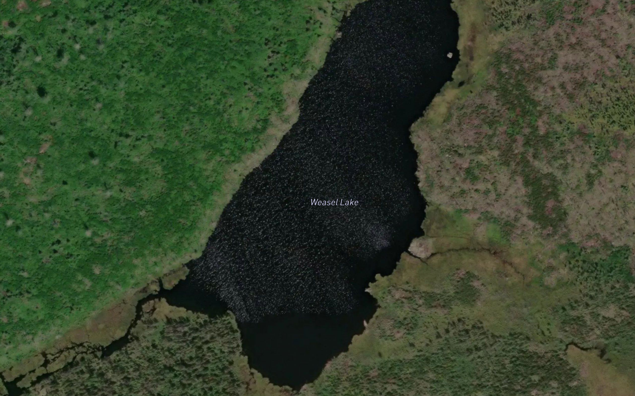 Weasel Lake