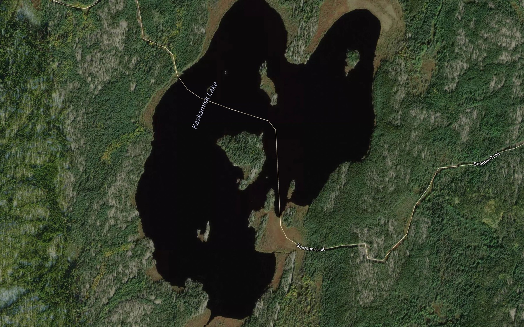 Satellite map of the Kaskamisk Lake