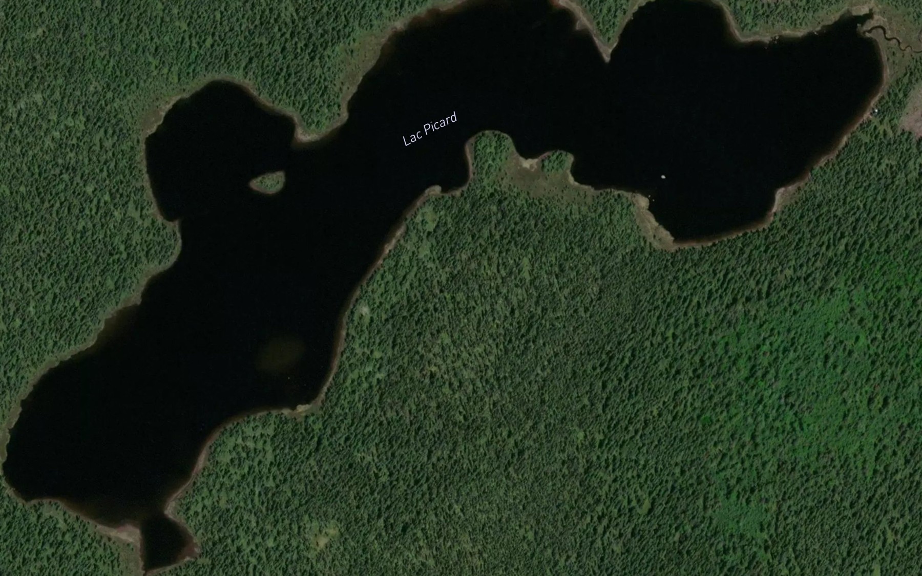 Satellite map of the Lac Picard