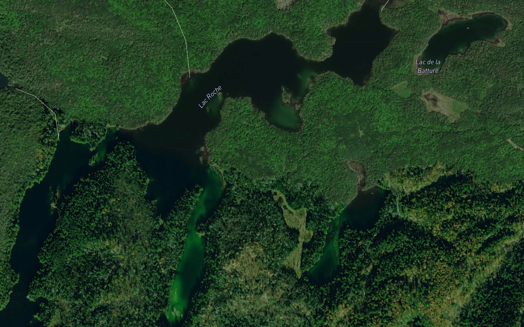 Satellite map of the Lac Roche