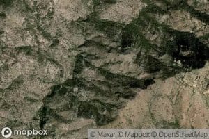 Alamo Spring